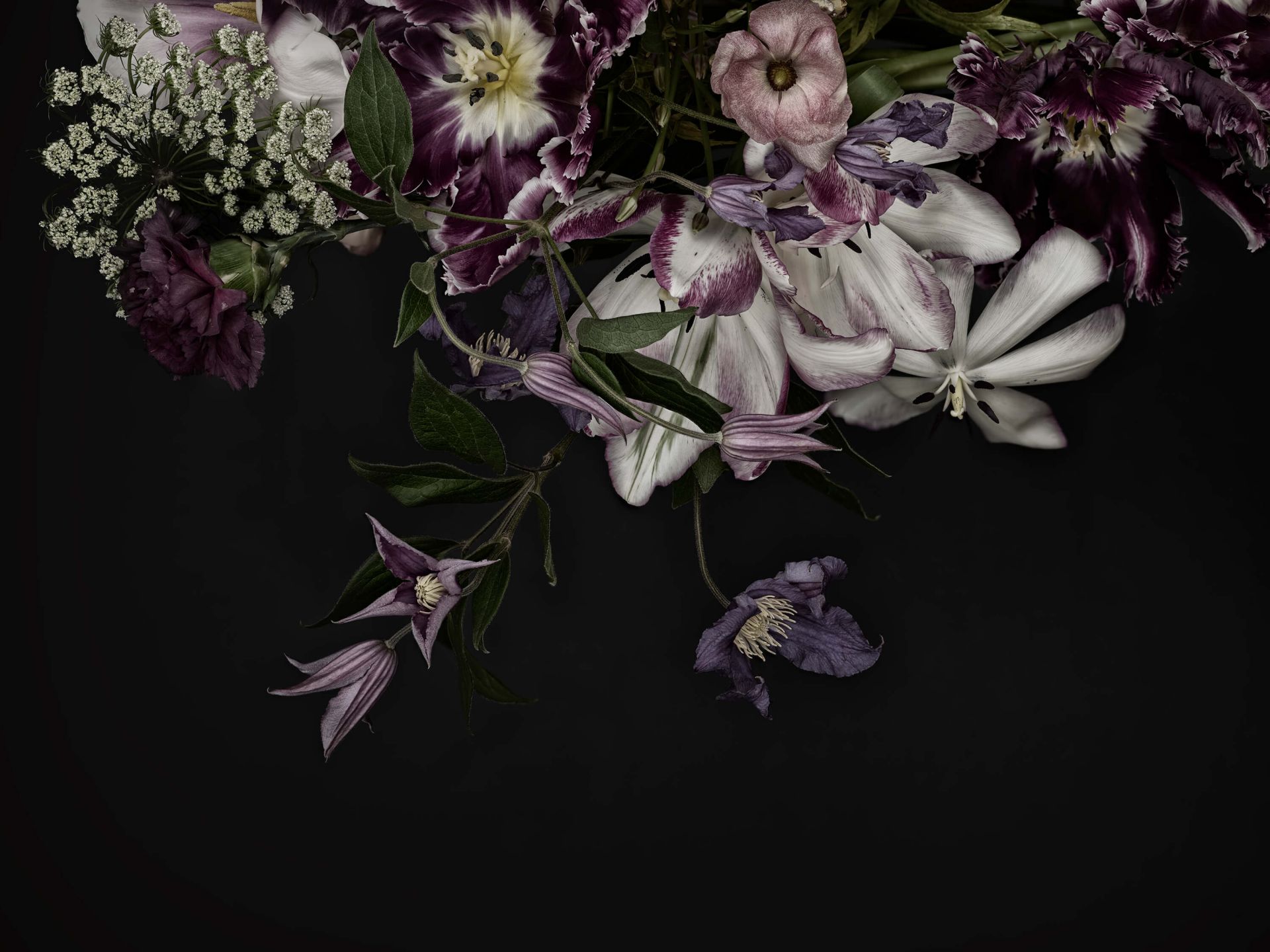 Flowers wall main product photo