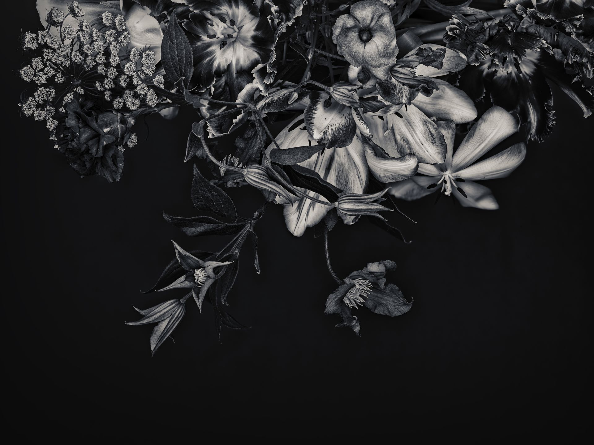 Bloemen muur blue tone