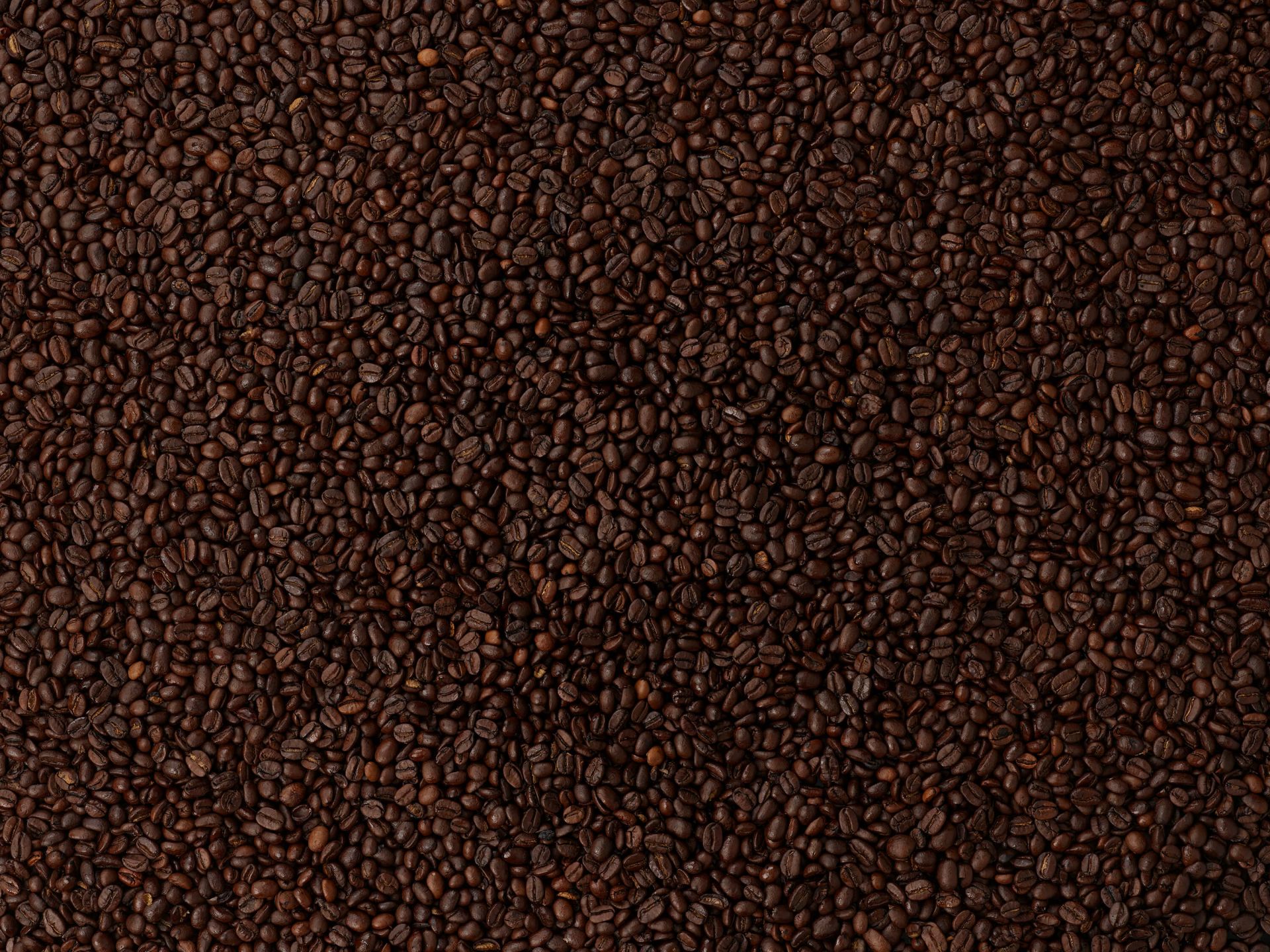 Roasted coffee beans main product photo