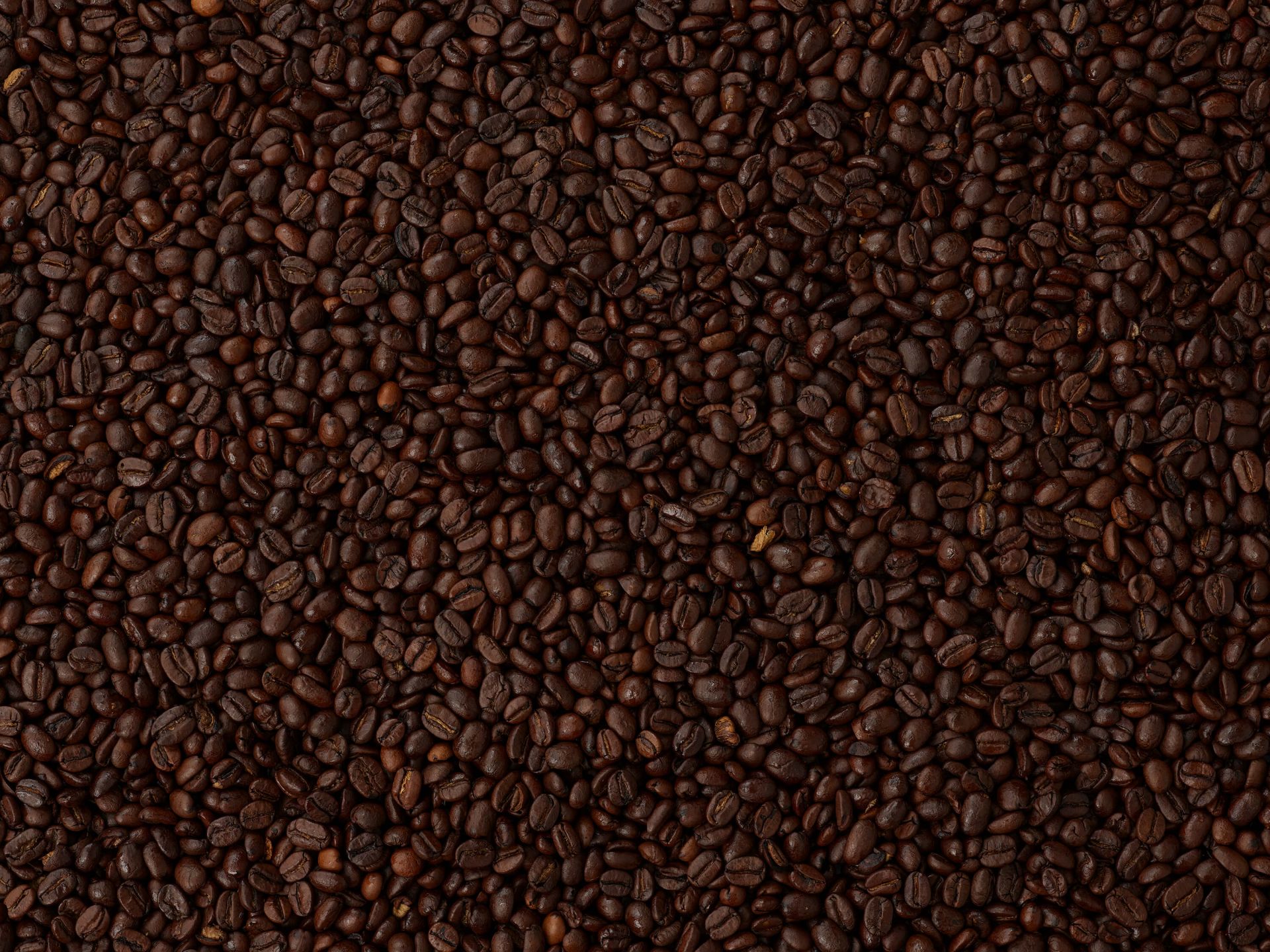 Mix of coffee beans main product photo