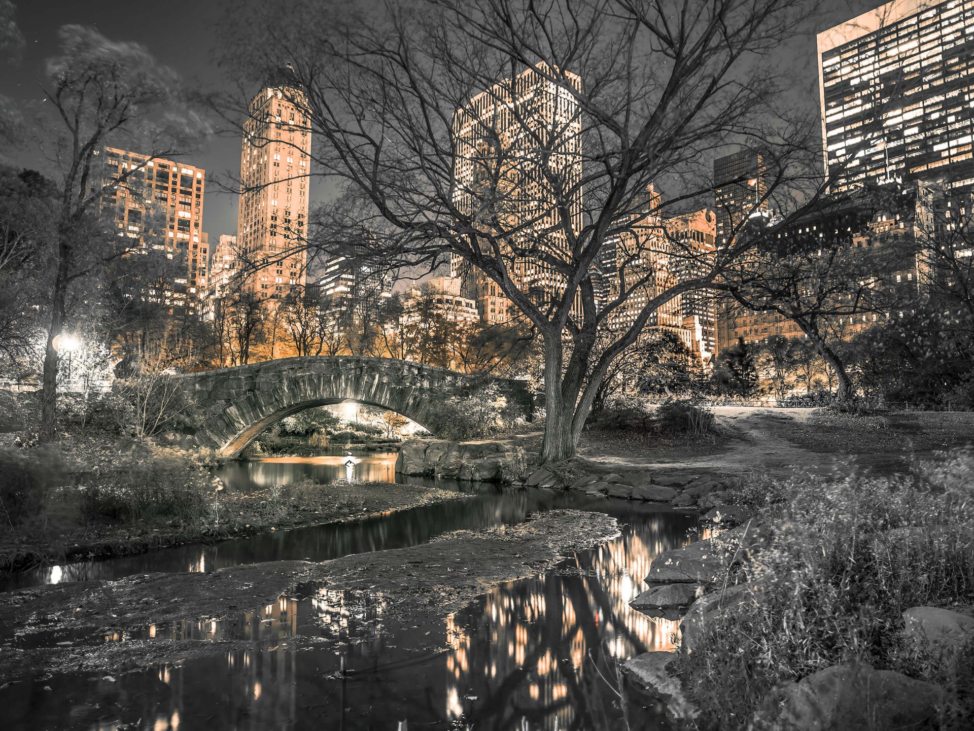 Central park in the evening - Wallpaper Central park in the evening - Wallpaper