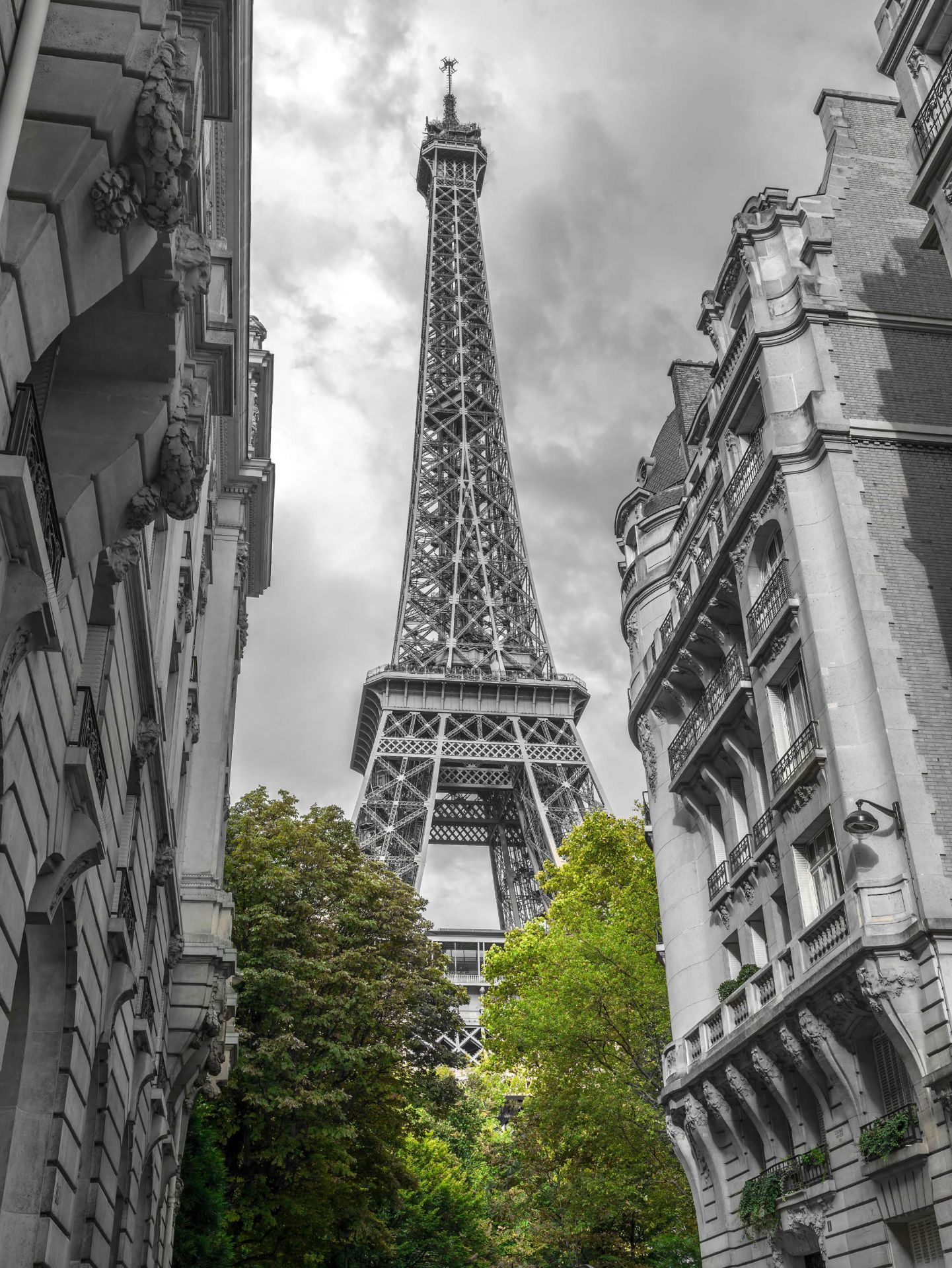 Eiffel Tower black and white main product photo