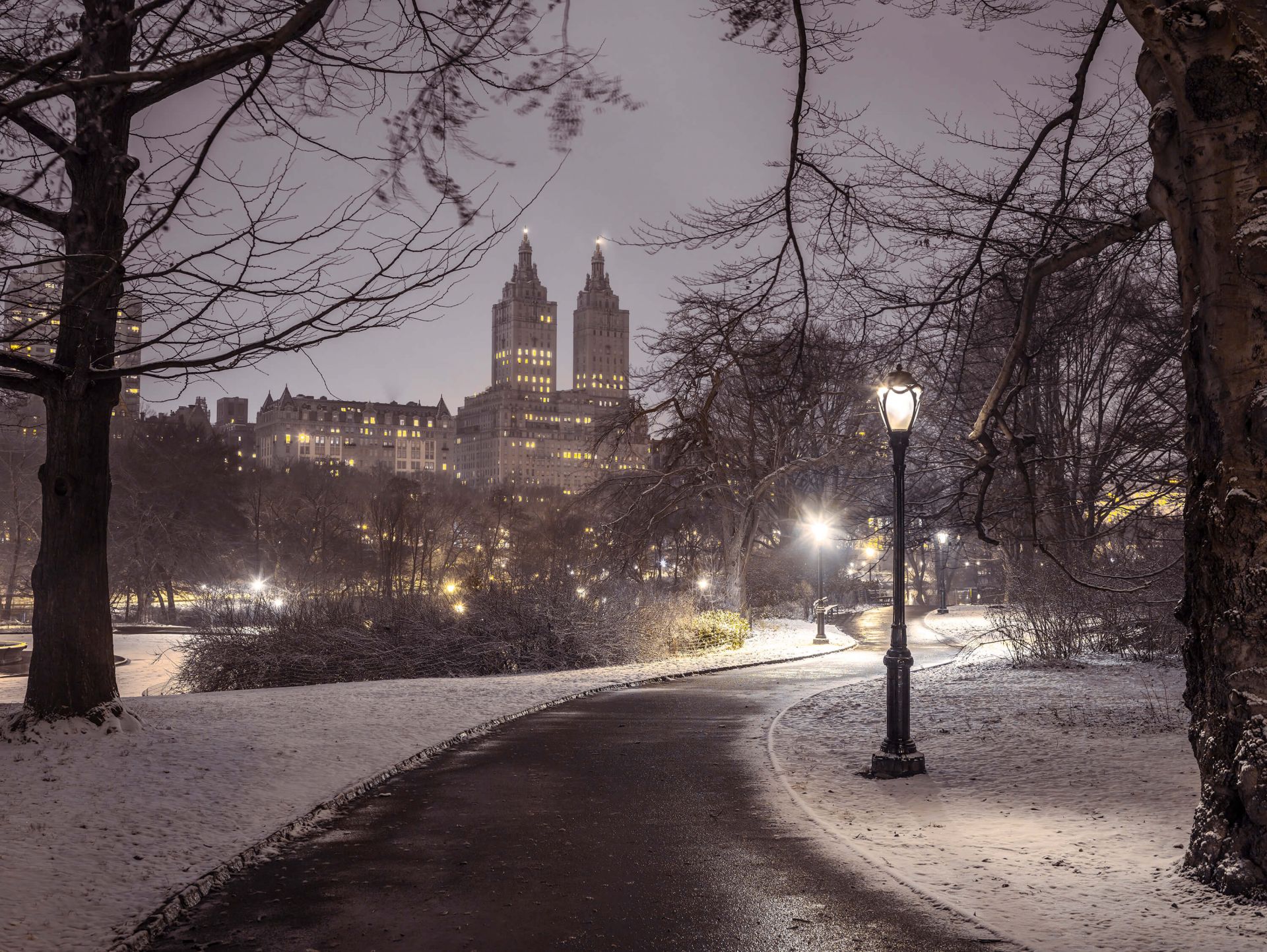Snowy Central Park main product photo