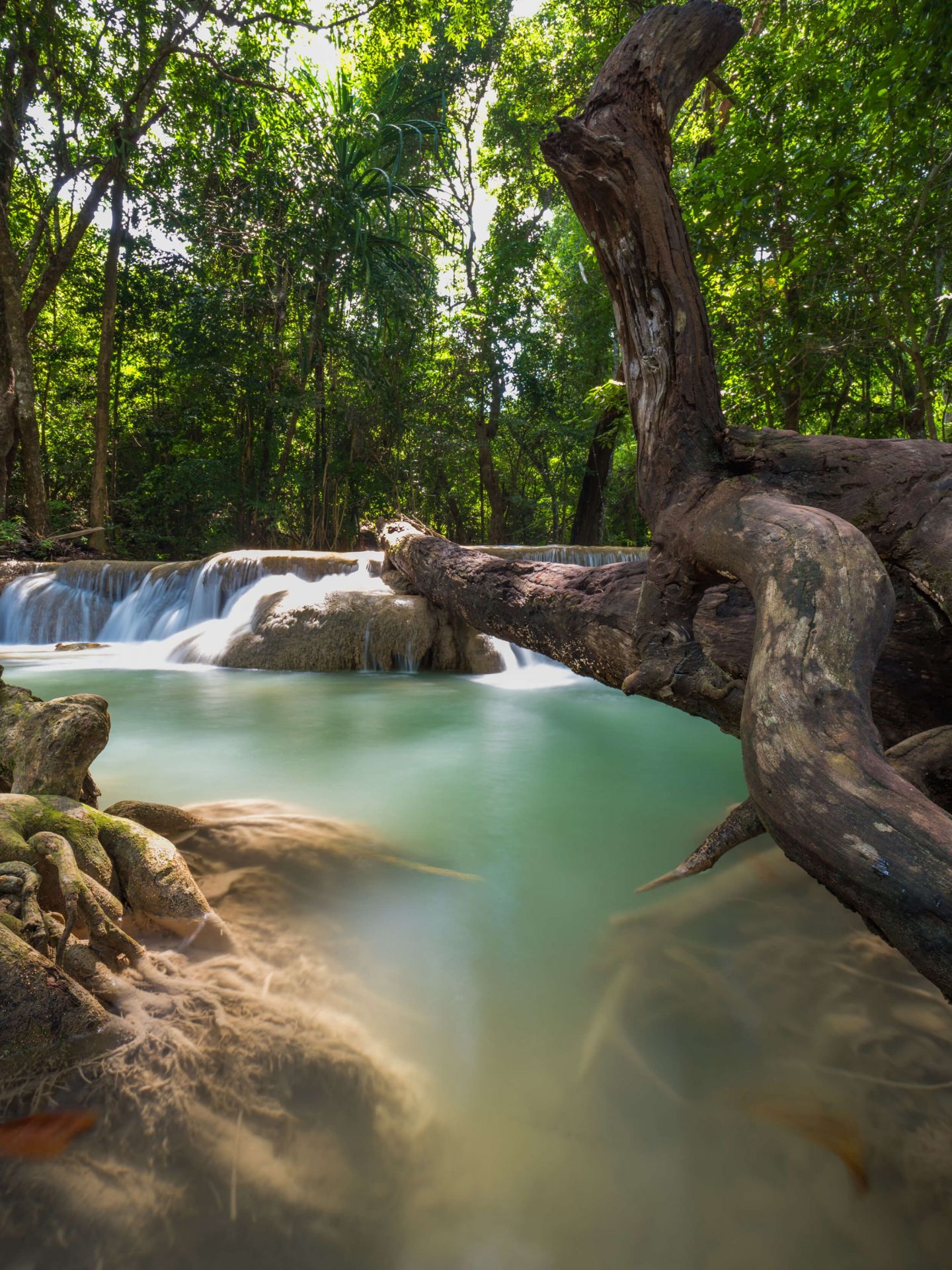 Waterfall in jungle