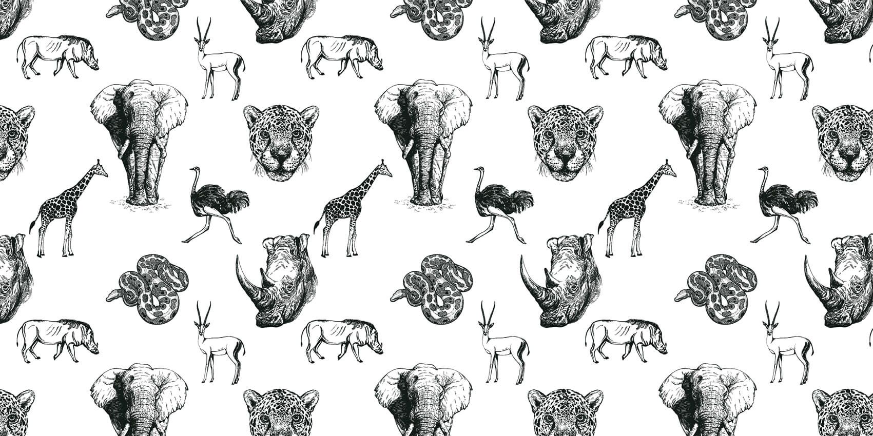 Sketch of animals main product photo