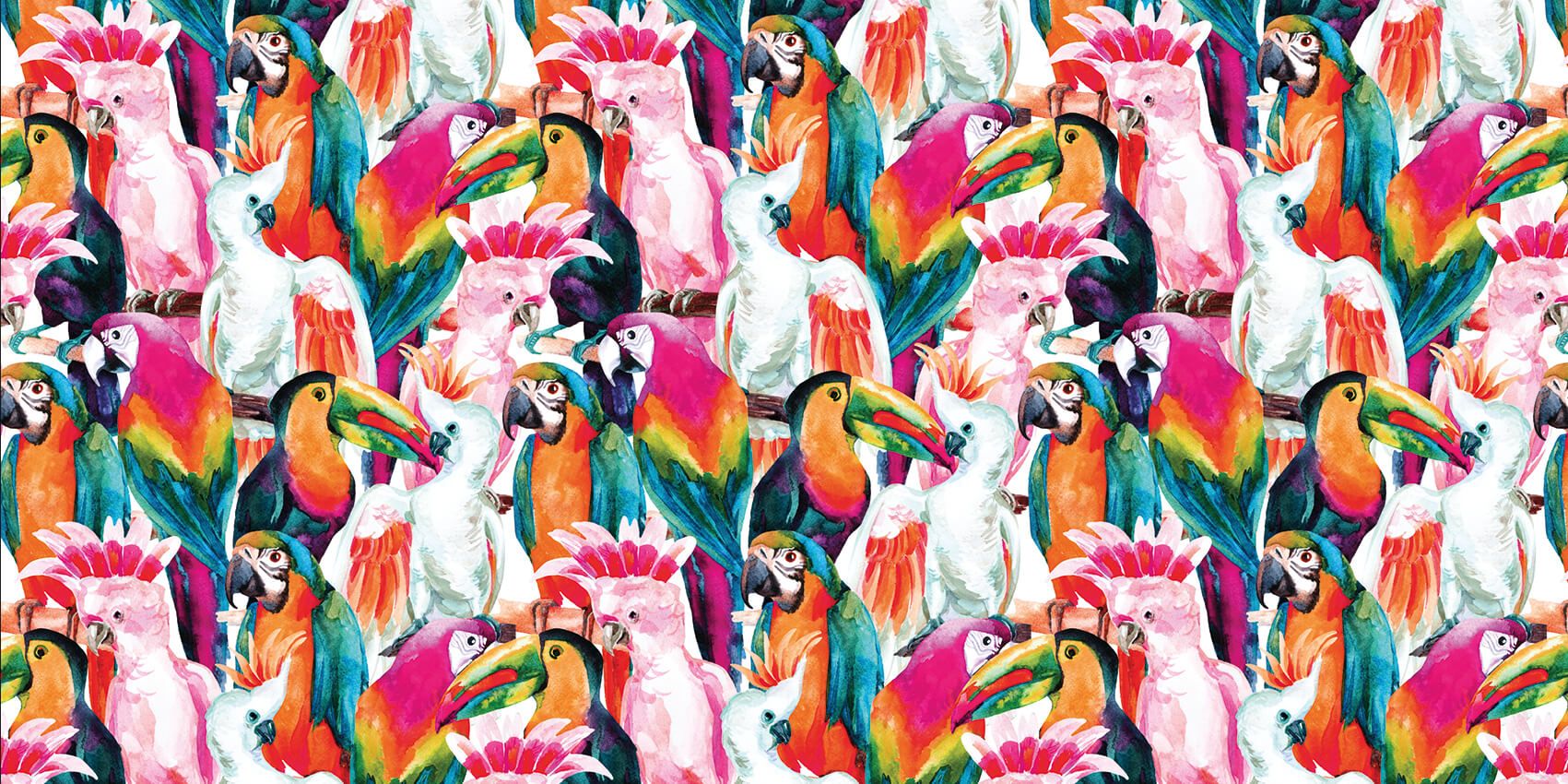 Tropical coloured birds main product photo