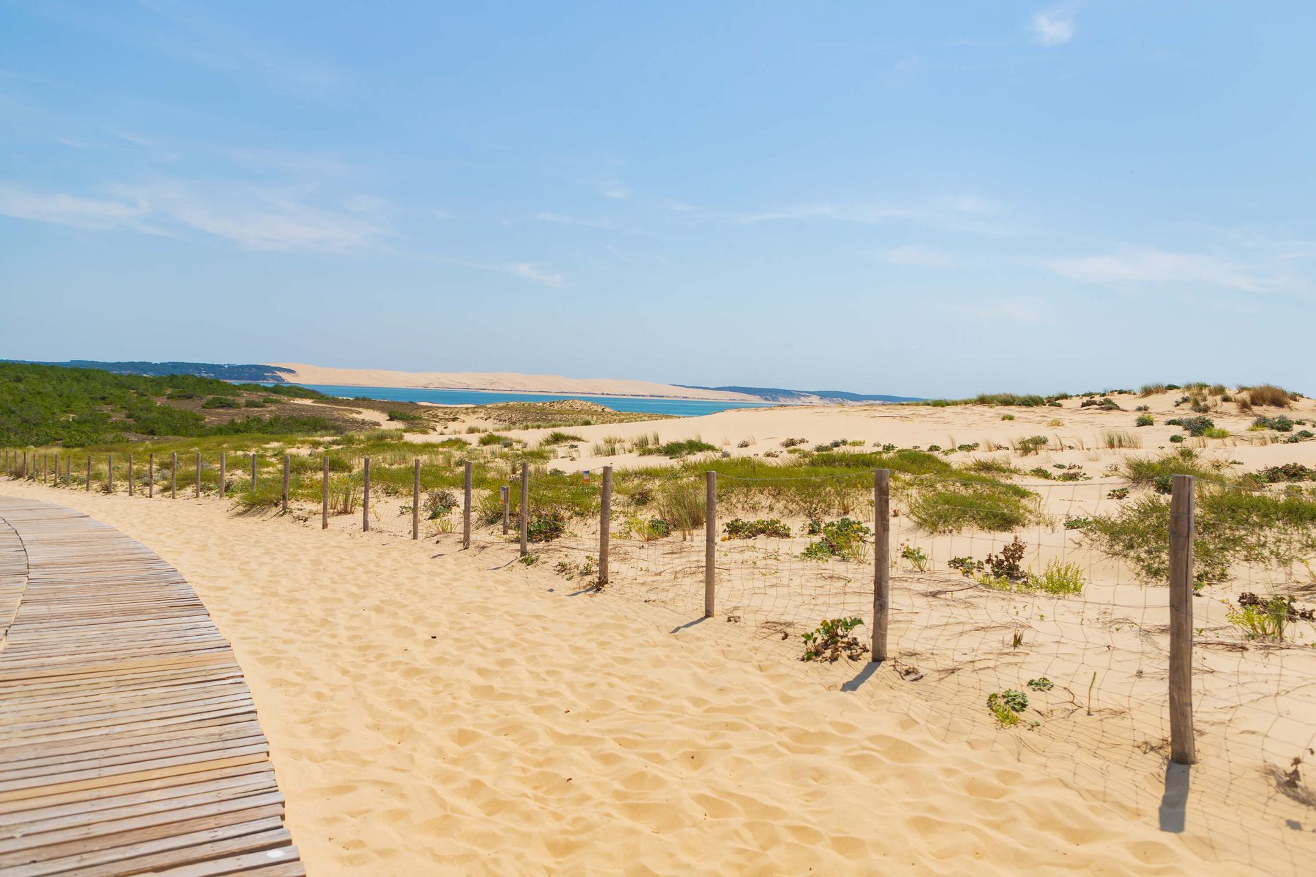 Path to the beach - Photo Wallpaper