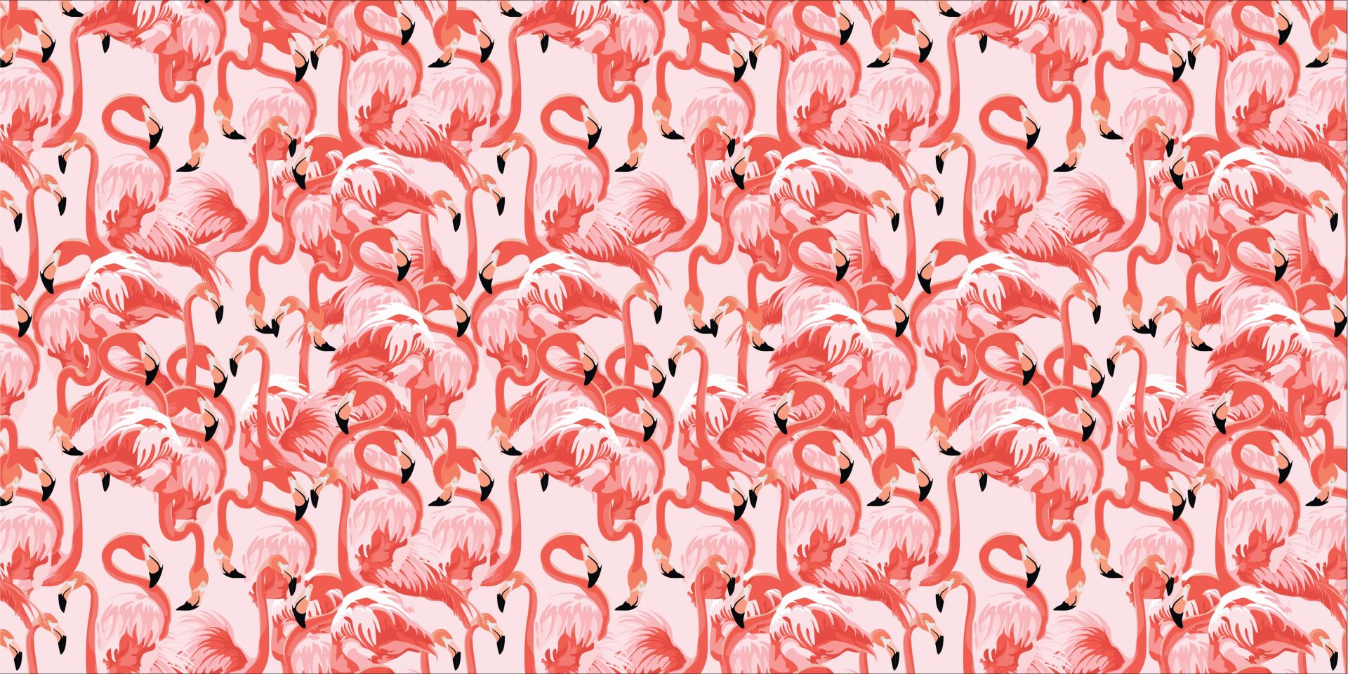Exotic flamingos