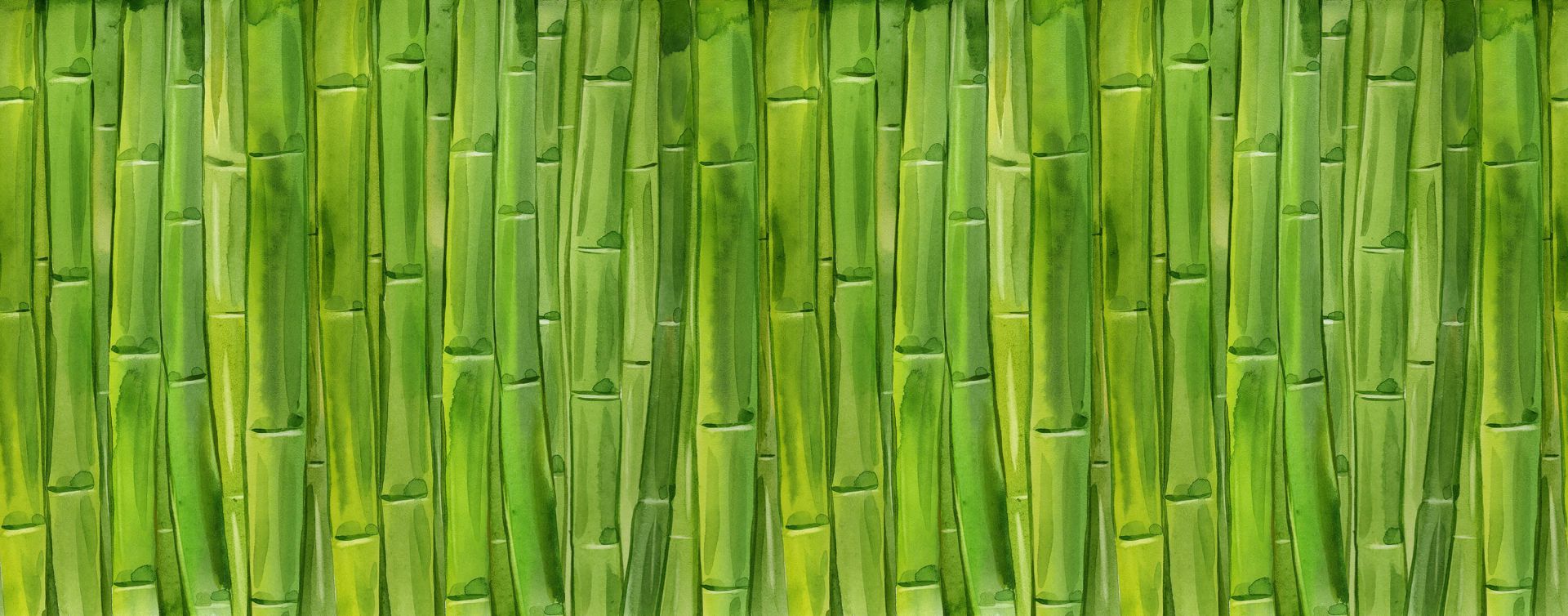 Watercolor bamboo