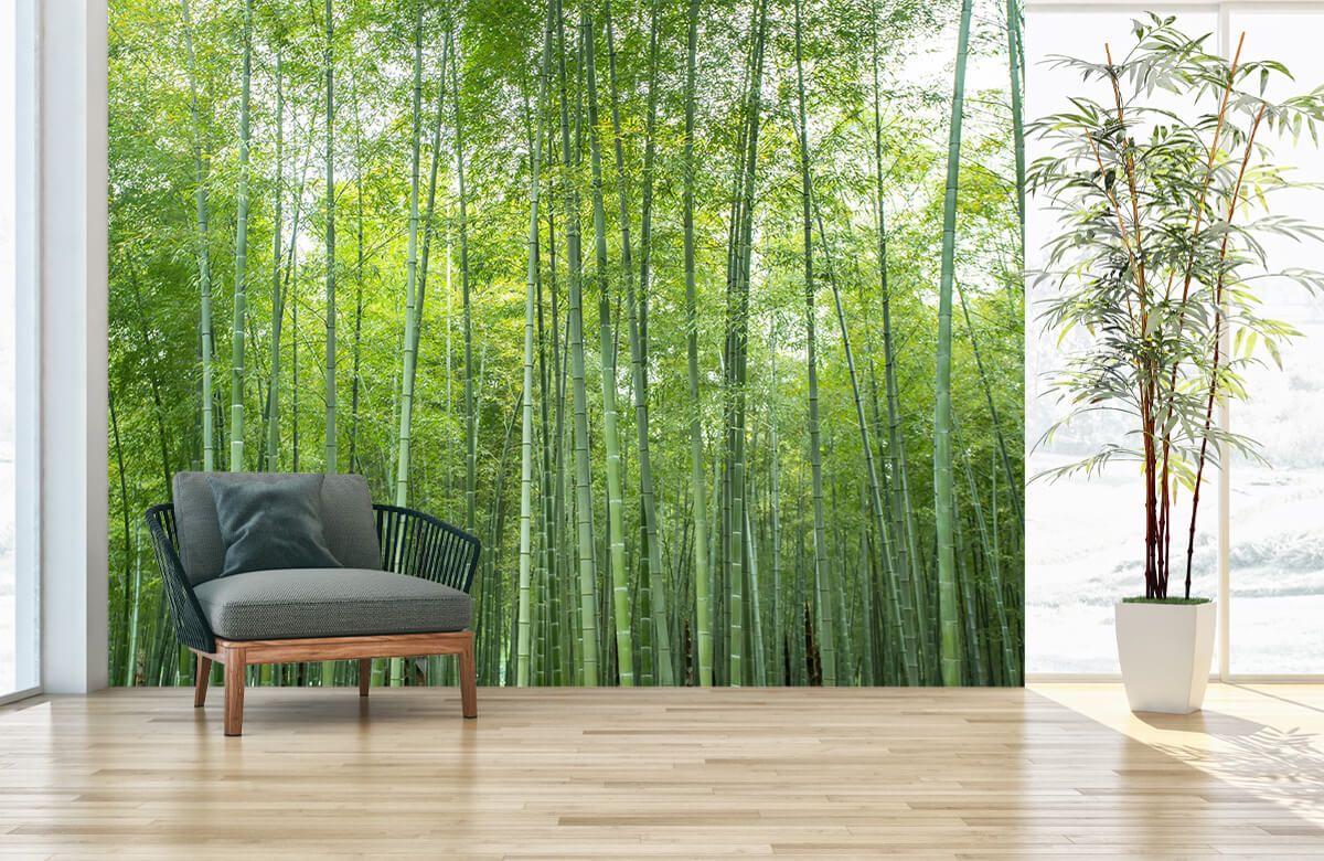 Download A fresh and natural green Bamboo background | Wallpapers.com