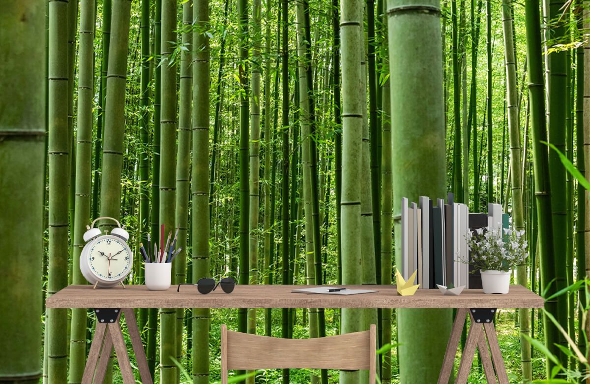 Bamboo Tree Wallpaper