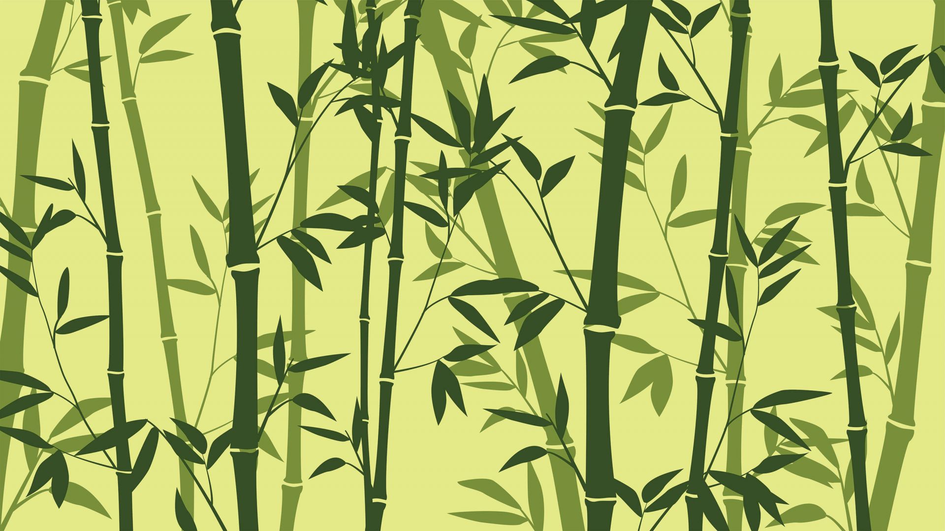 100+] Bamboo Iphone Wallpapers | Wallpapers.com