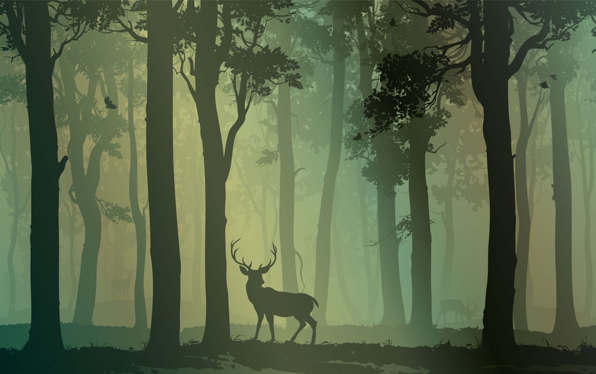 Deer in forest main product photo