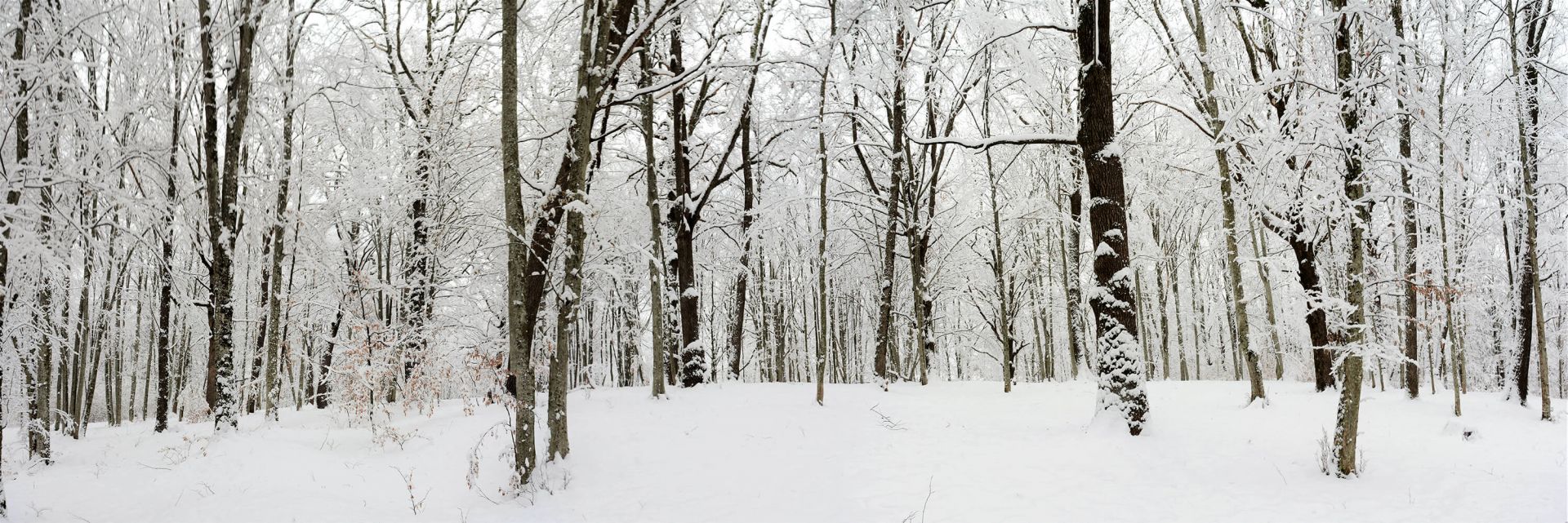 Winter panorama main product photo
