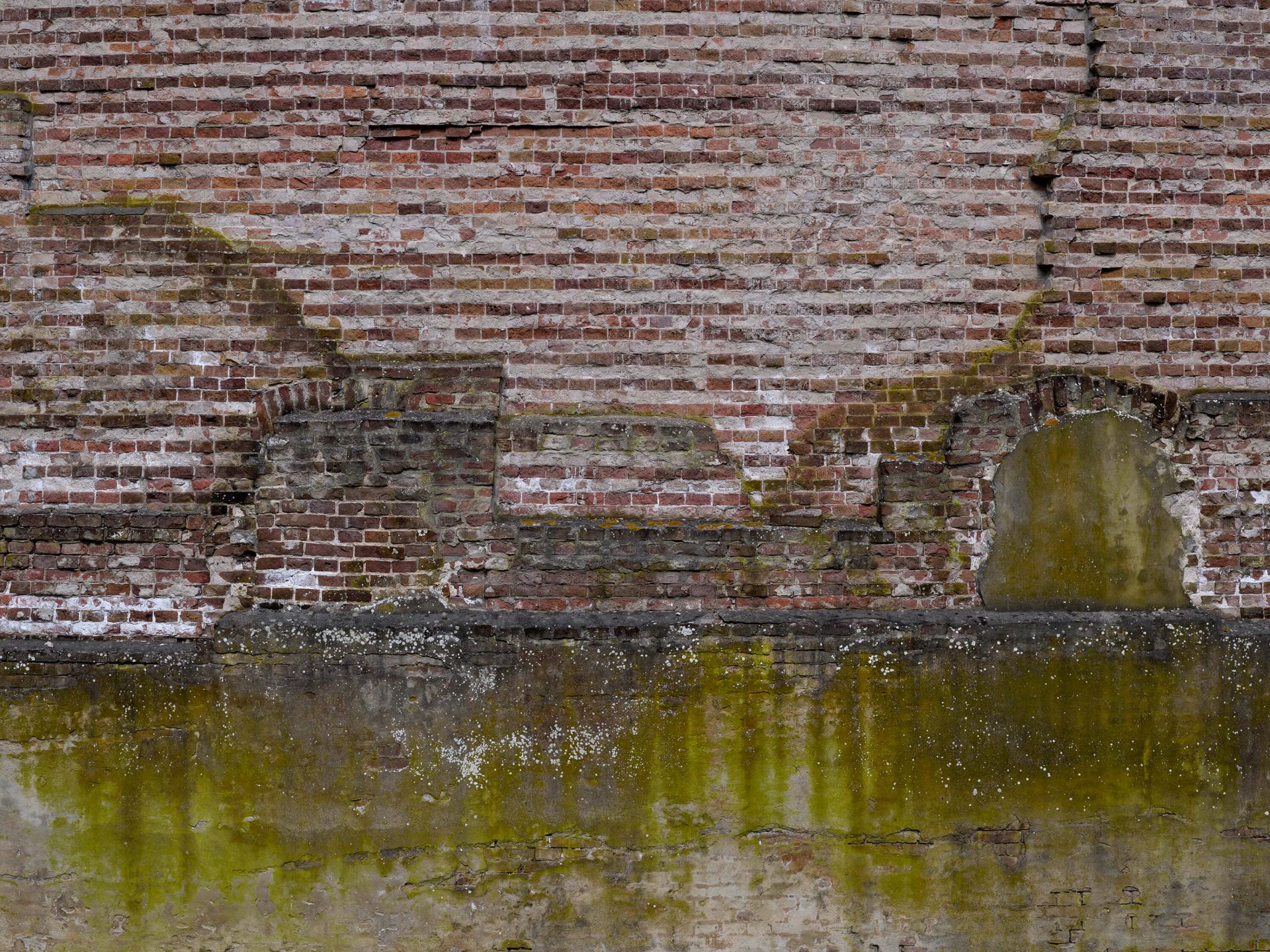 Weathered brick wall main product photo