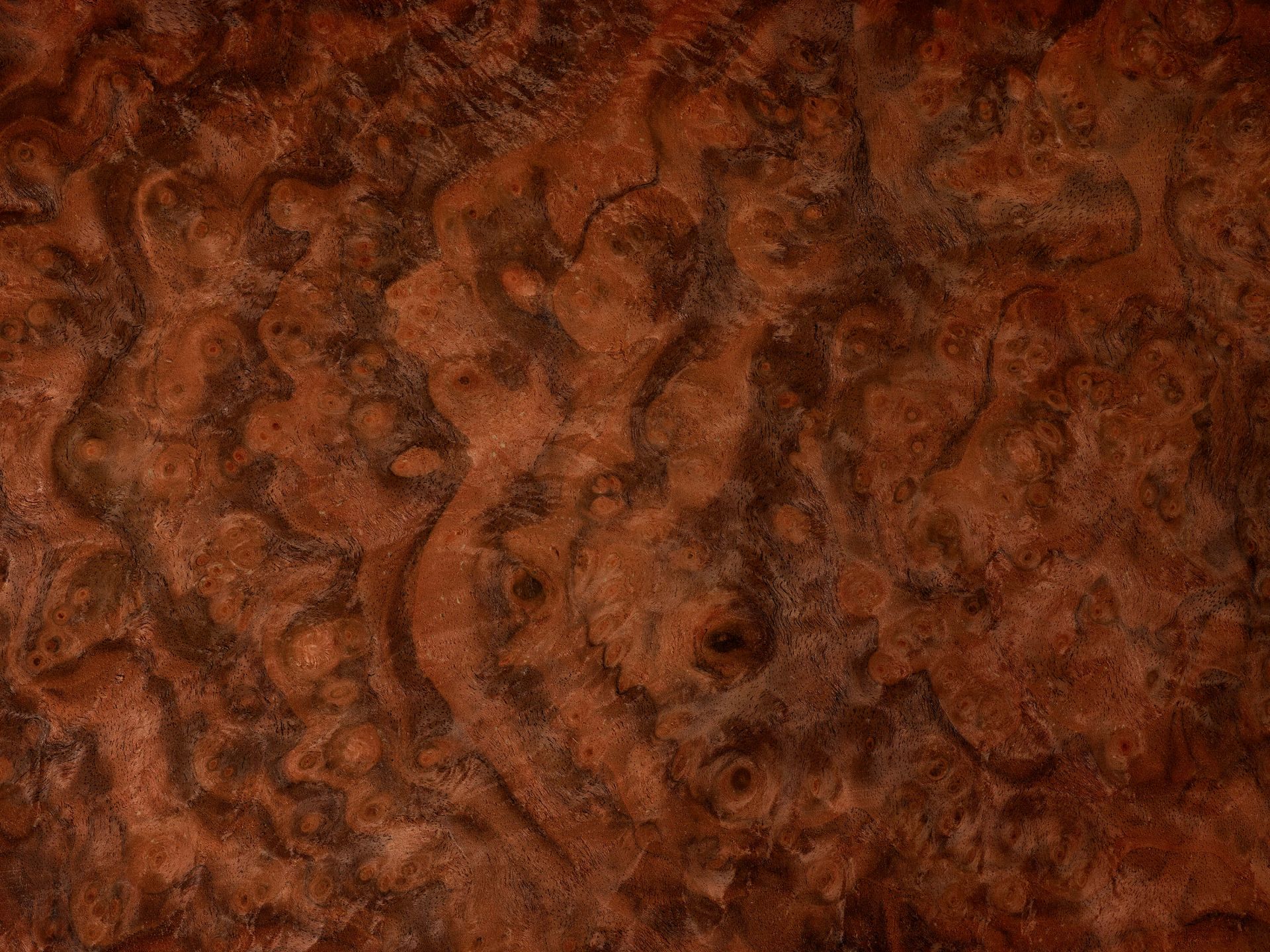 Complexe houtstructuur