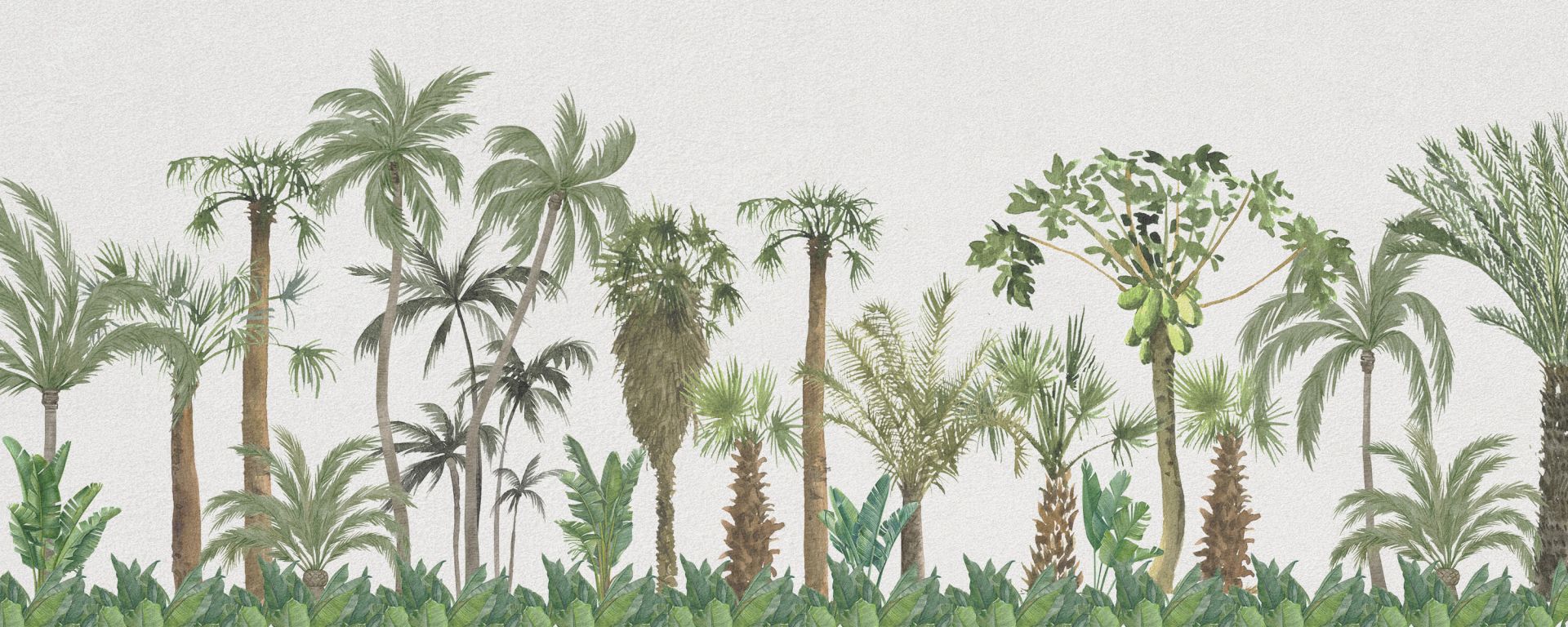 Tropical trees and plants main product photo