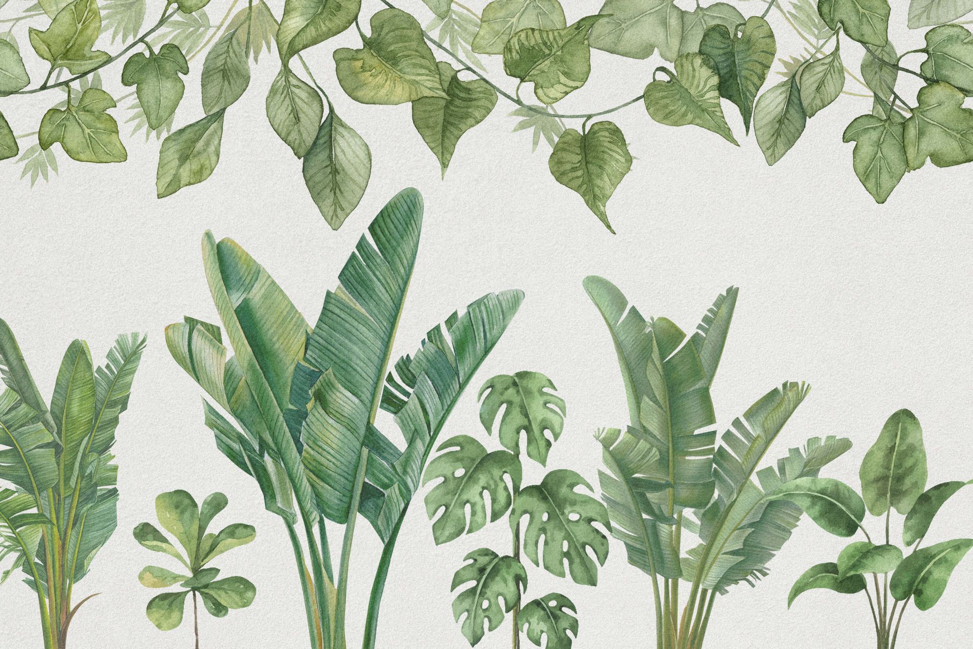 Tropical jungle plants main product photo