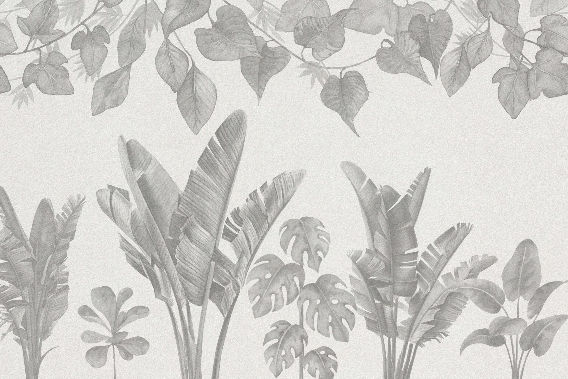 Jungle plants in grey shades main product photo