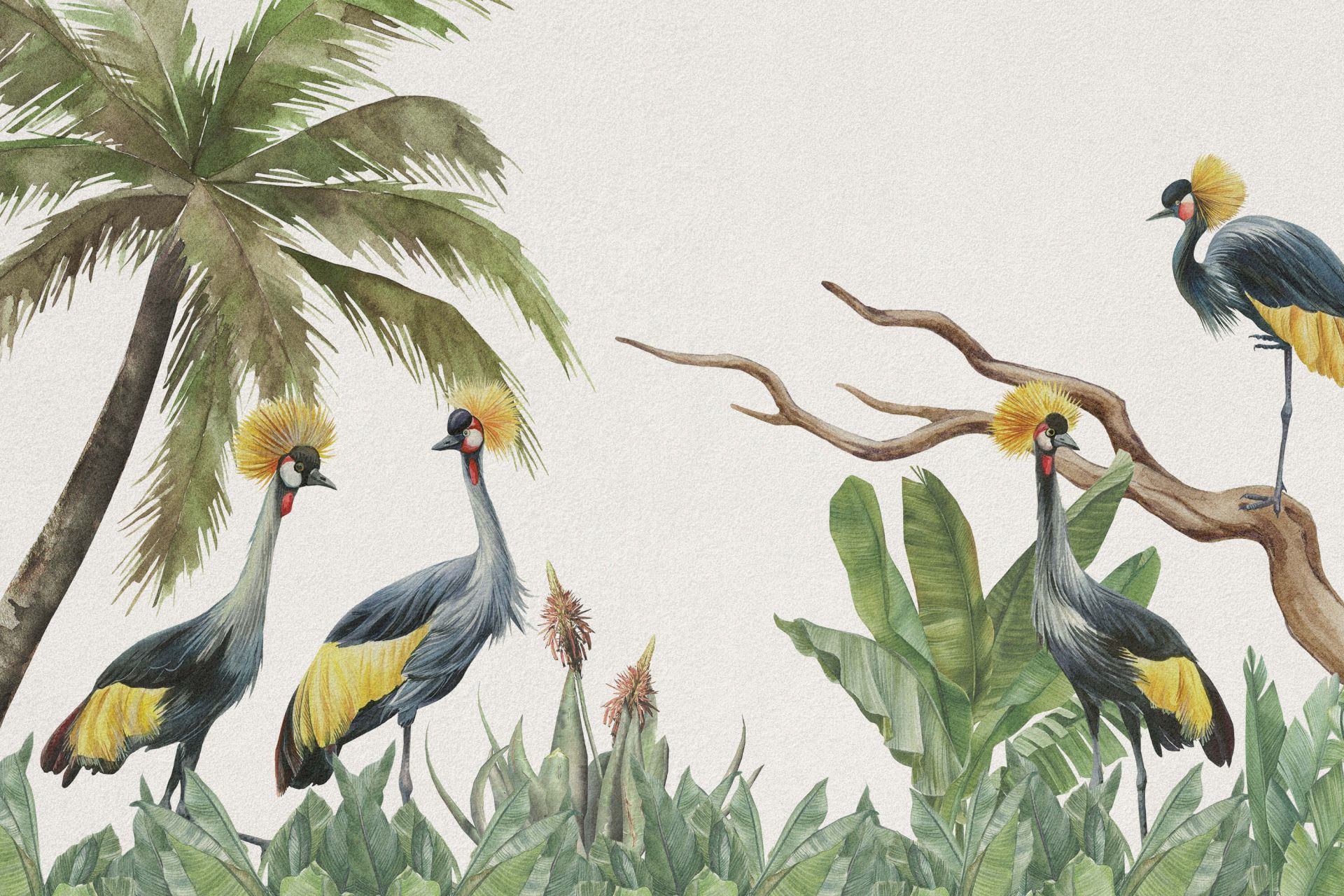 Jungle with cranes main product photo