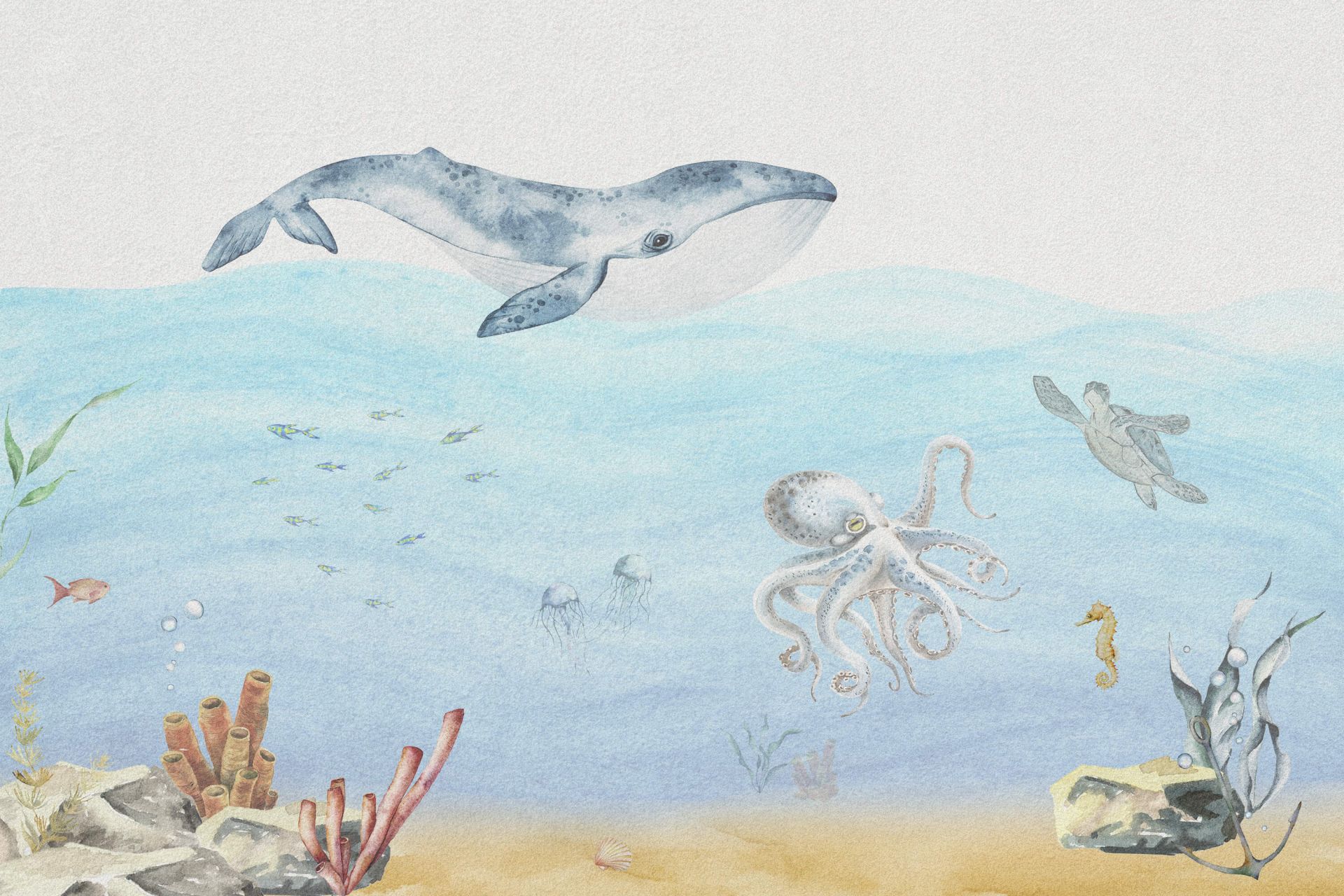 Underwater world with a whale main product photo