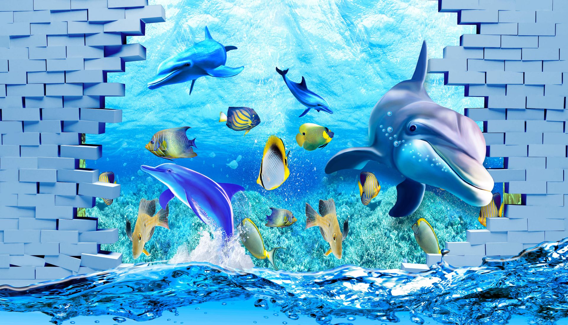 Dolphins behind a wall main product photo