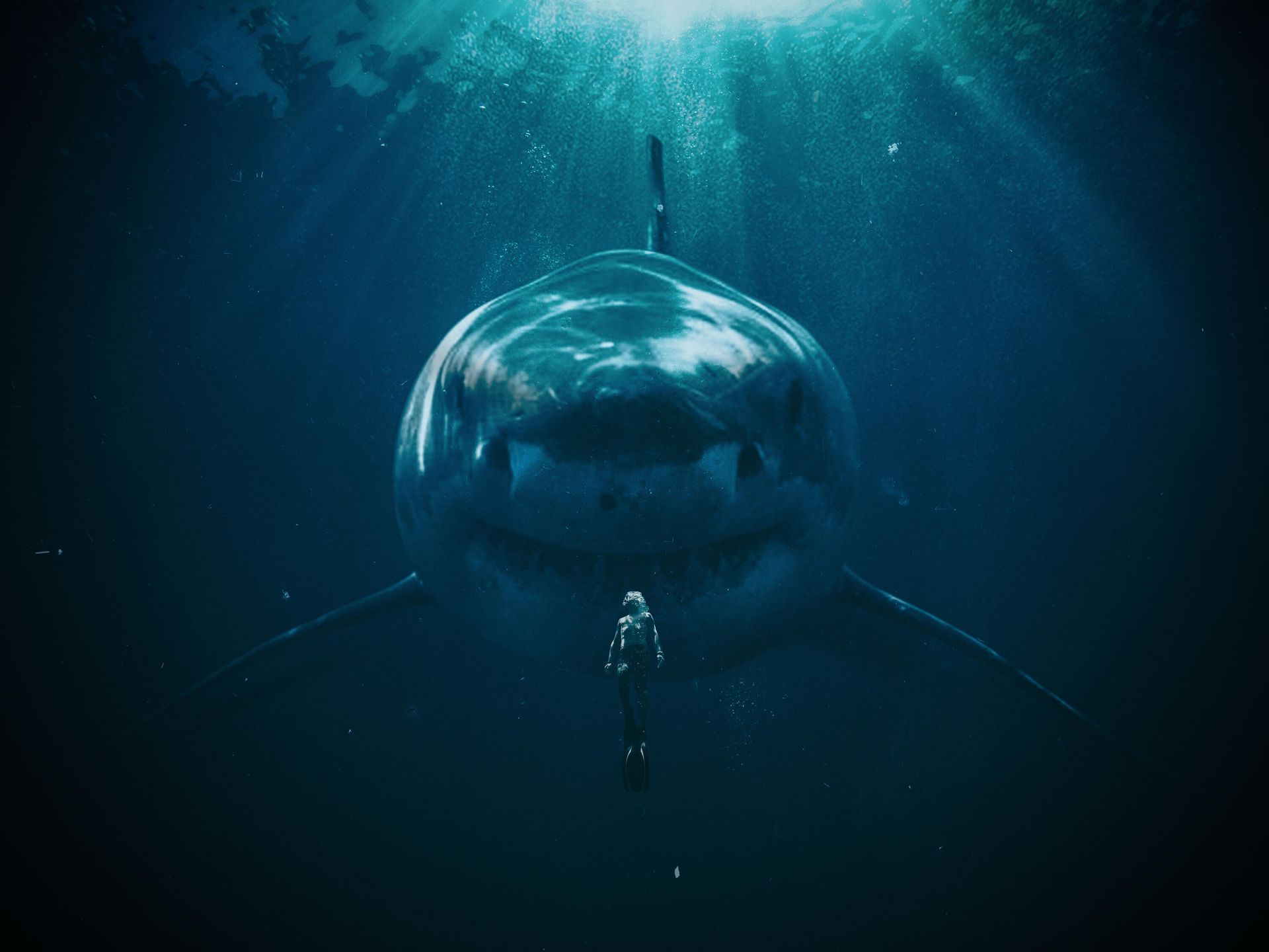 Wallpaper Mural - A big shark - Photo Wallpaper