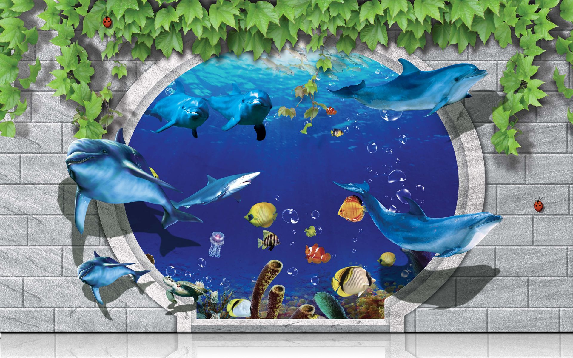 Dolphins through the wall main product photo