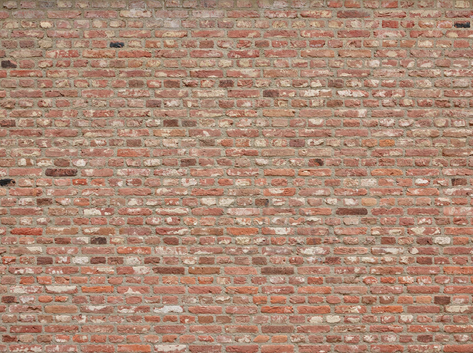 Wall with different colours of bricks