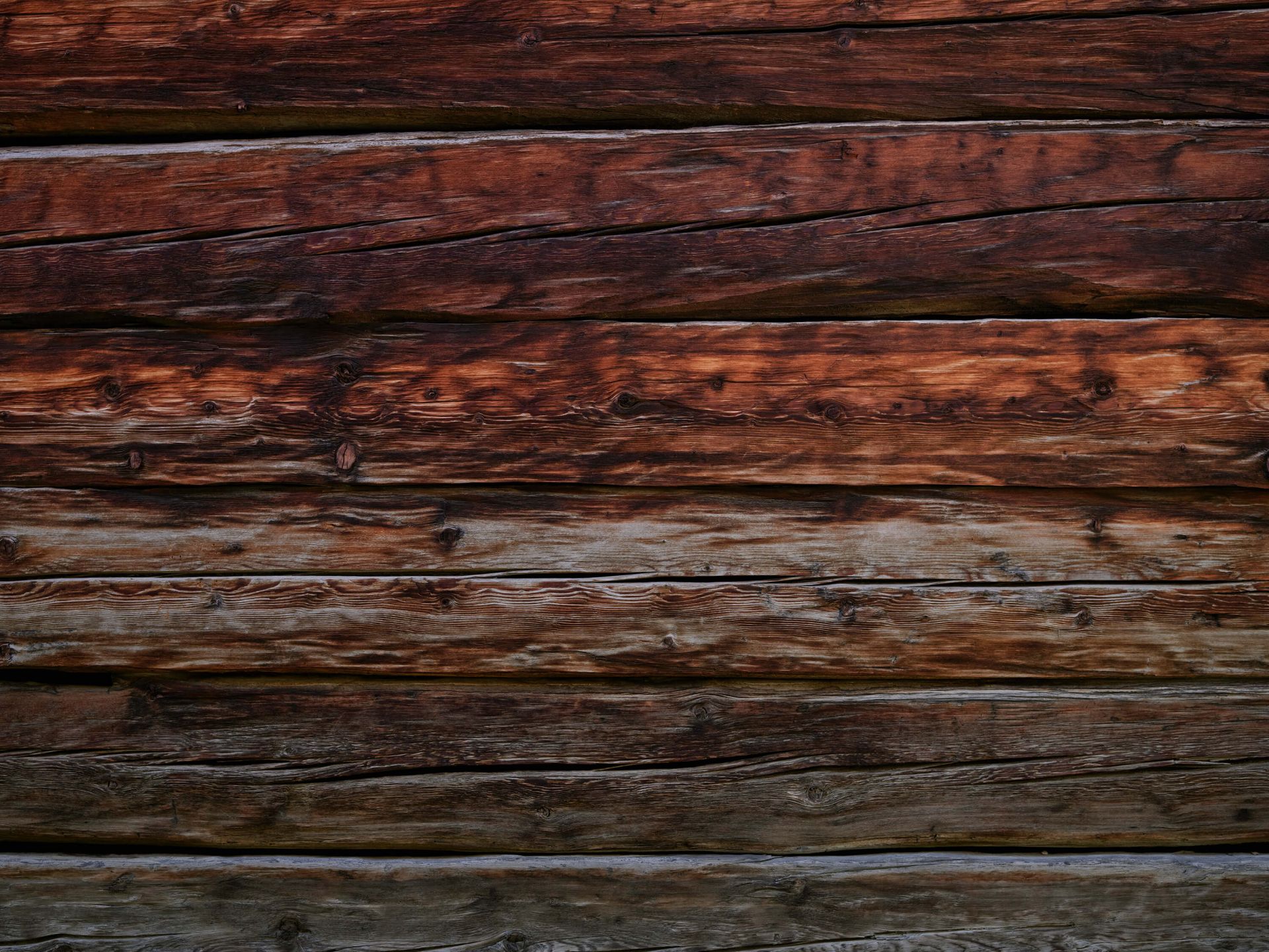 Discoloured wood