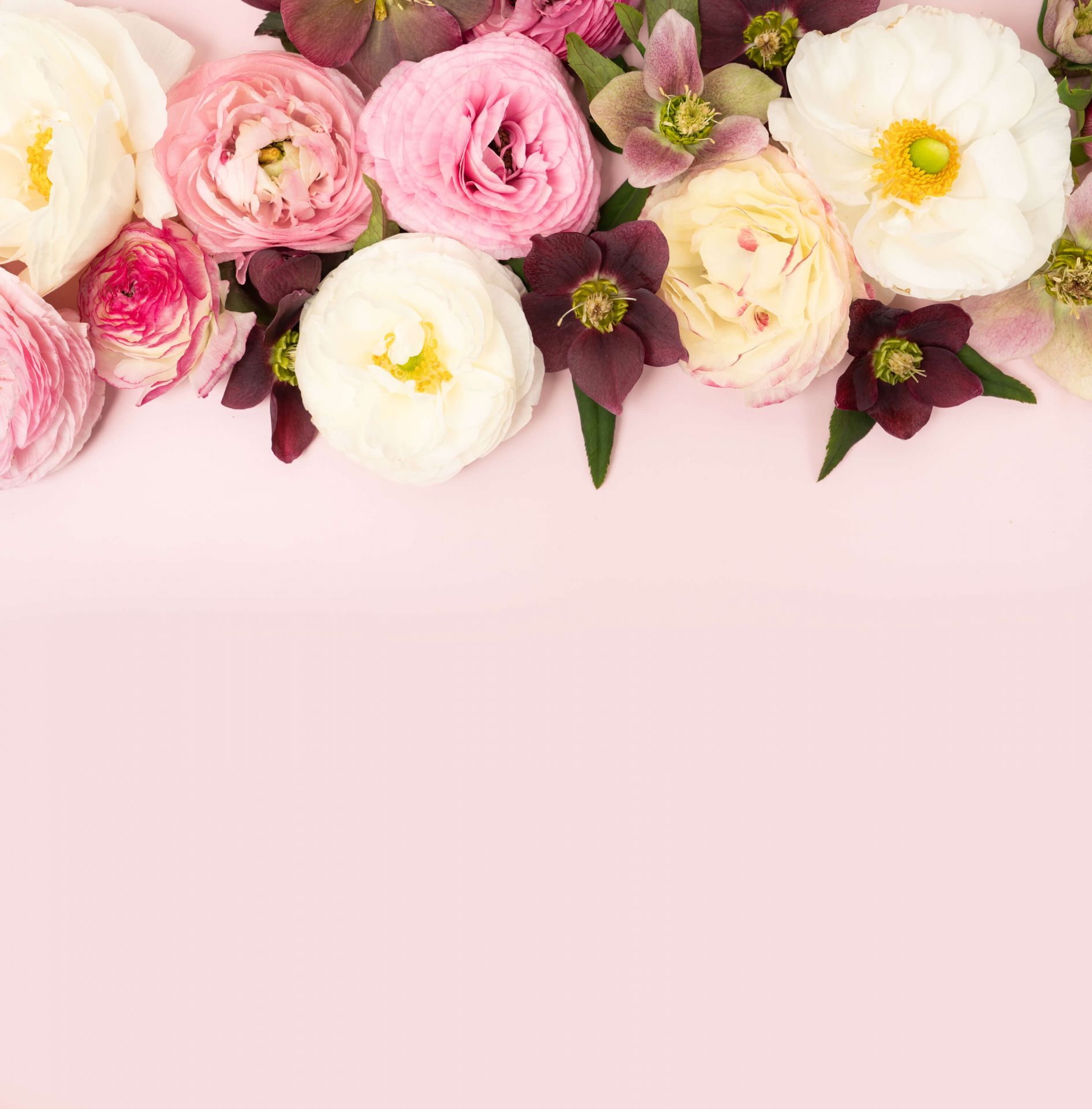Different colored flowers - Wallpaper Different colored flowers - Wallpaper