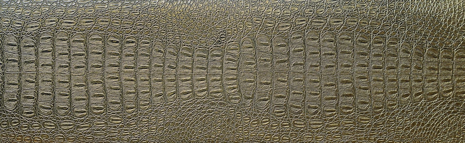 Skin of crocodile Skin of crocodile