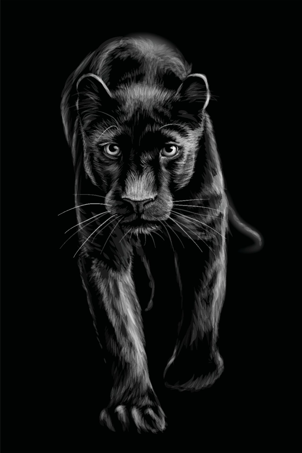 Panther on the run - Wallpaper Panther on the run - Wallpaper