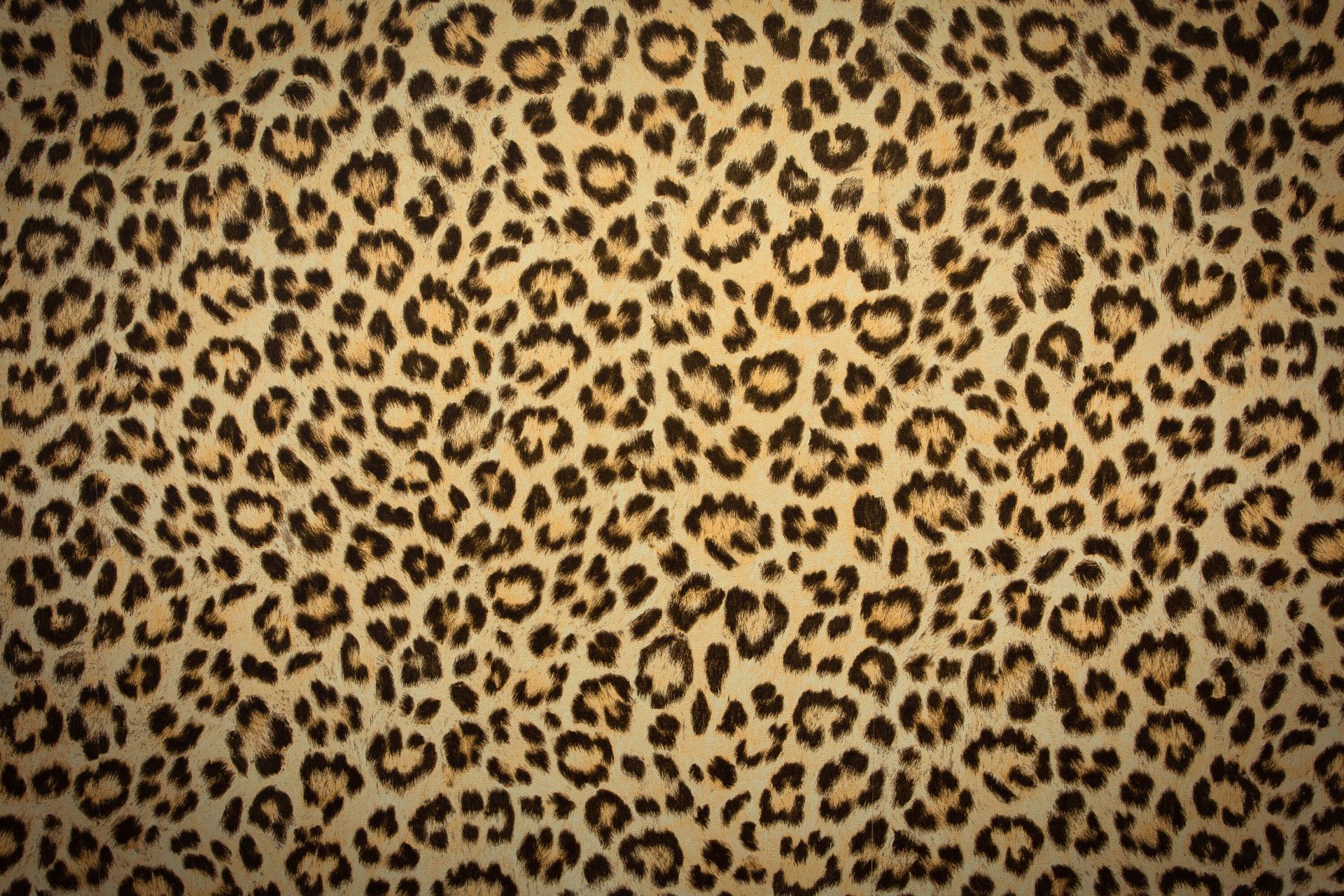 Panther fur - Wallpaper