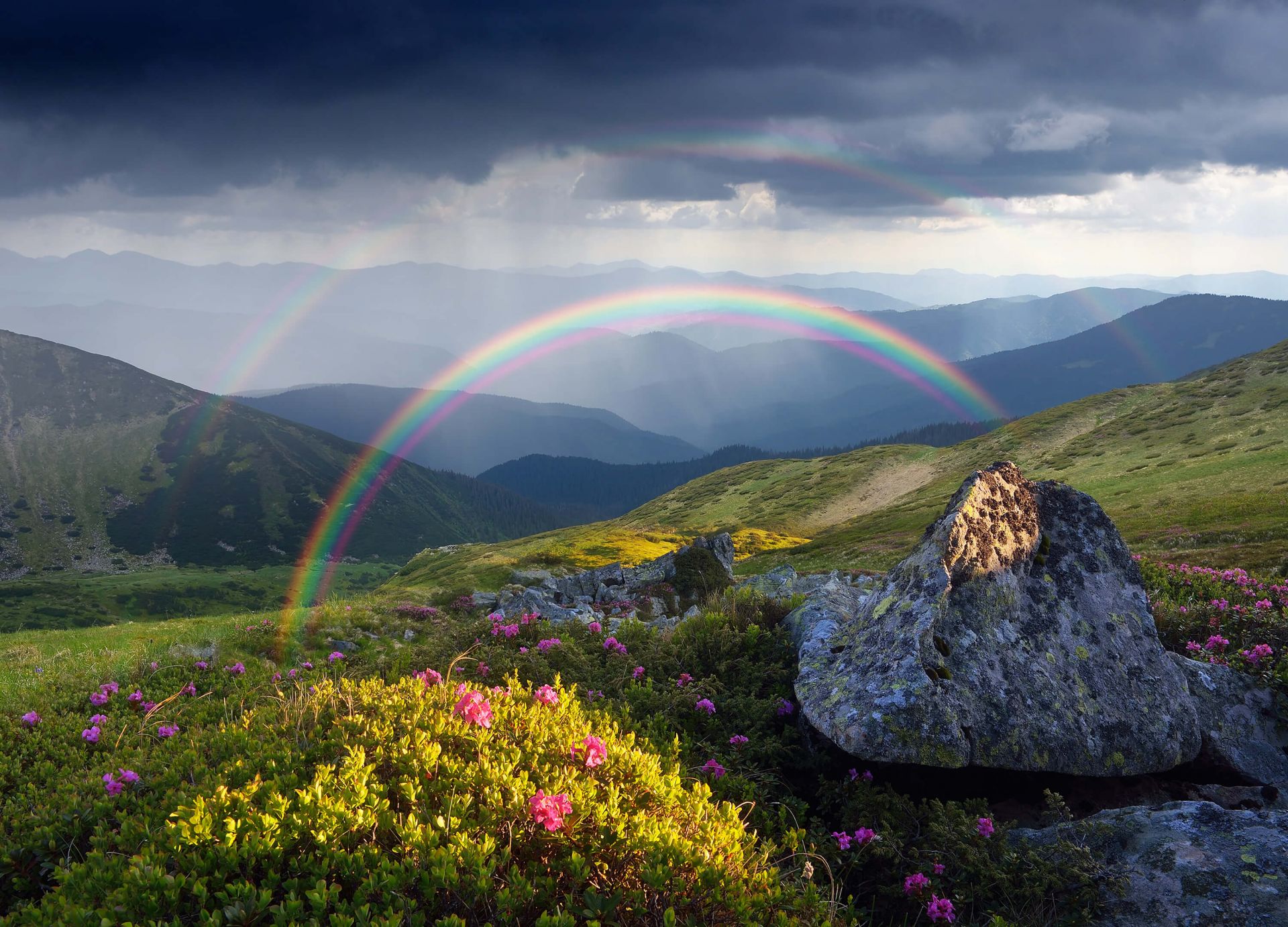 Landscape with flowers