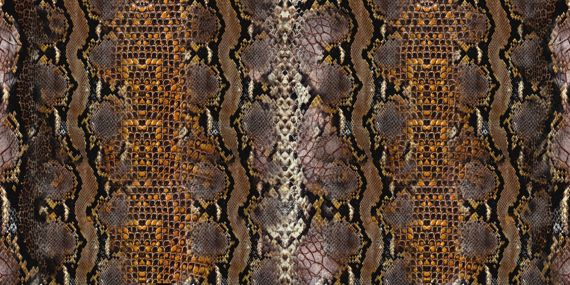 Python skin Python skin
