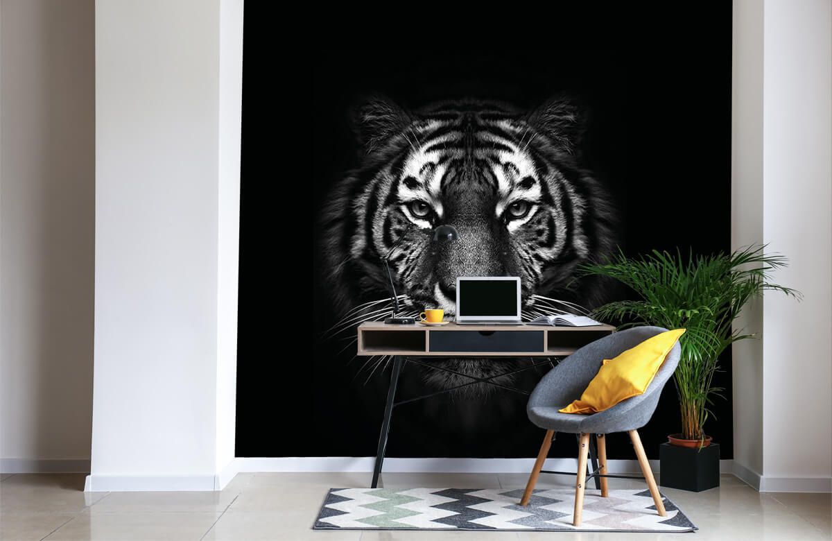 HD black tiger wallpapers | Peakpx