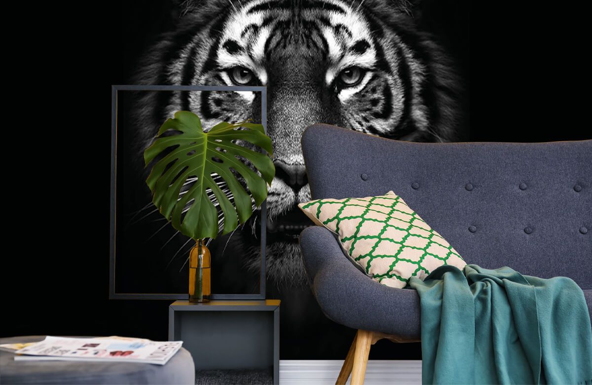 Tiger face in the dark: live wallpaper - free download