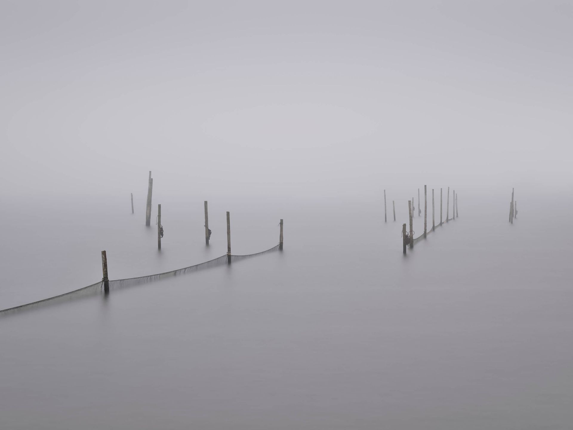 Fishing nets in the fog