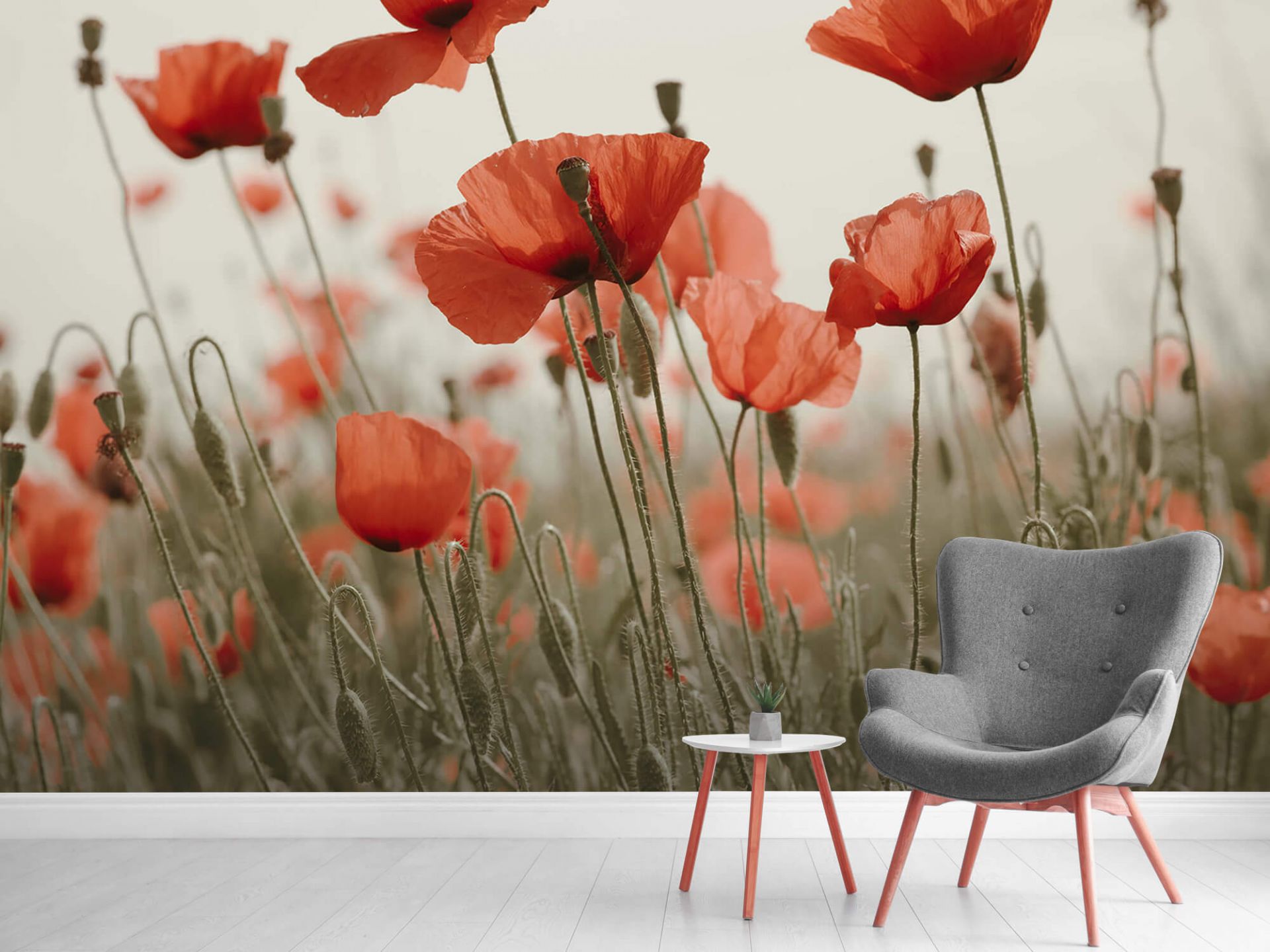 Poppies in vintage colours - Photo Wallpaper