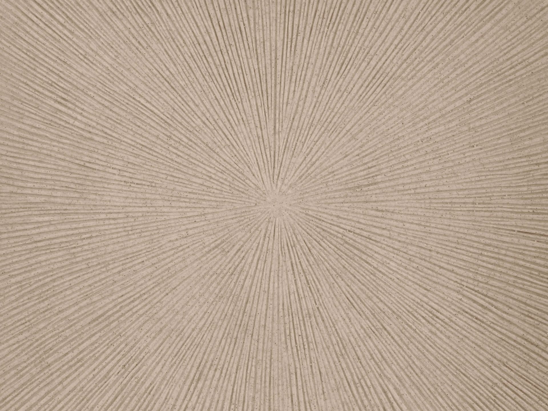 Textured Lines in beige main product photo