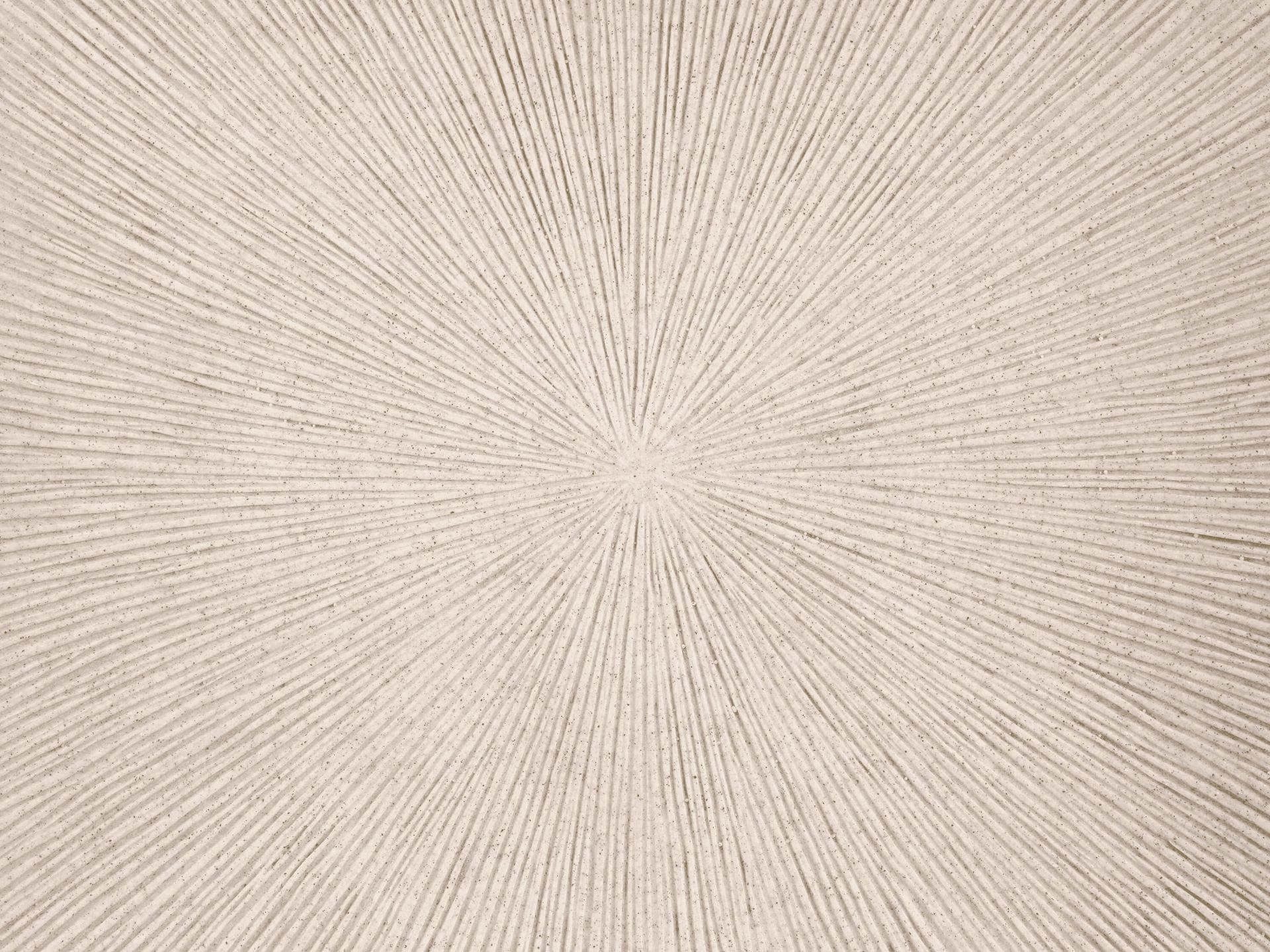 Texture with lines in linen main product photo