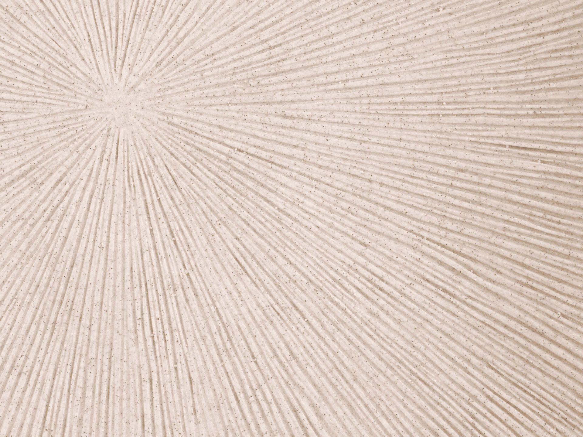 Structure with lines sun linen main product photo