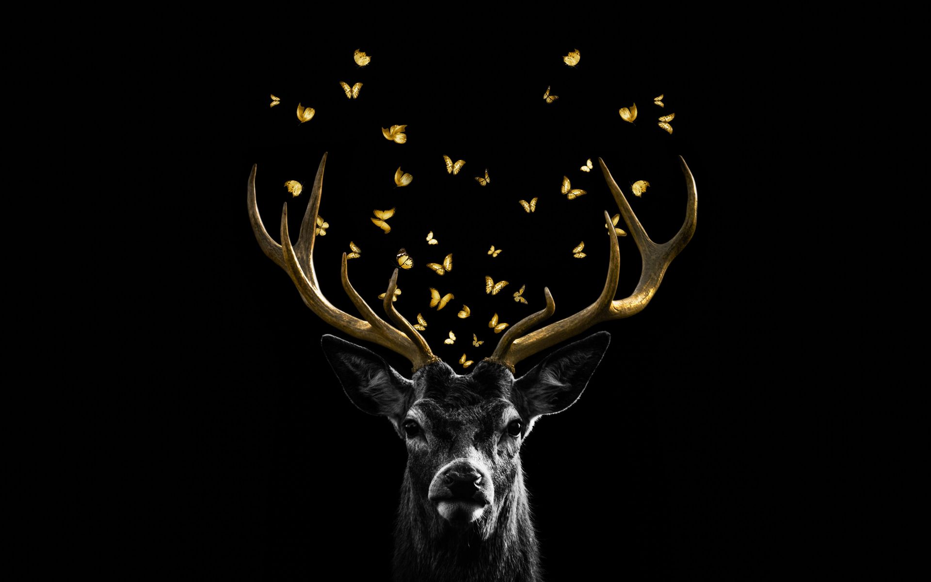 Wallpaper Mural - Golden Deer - Photo Wallpaper