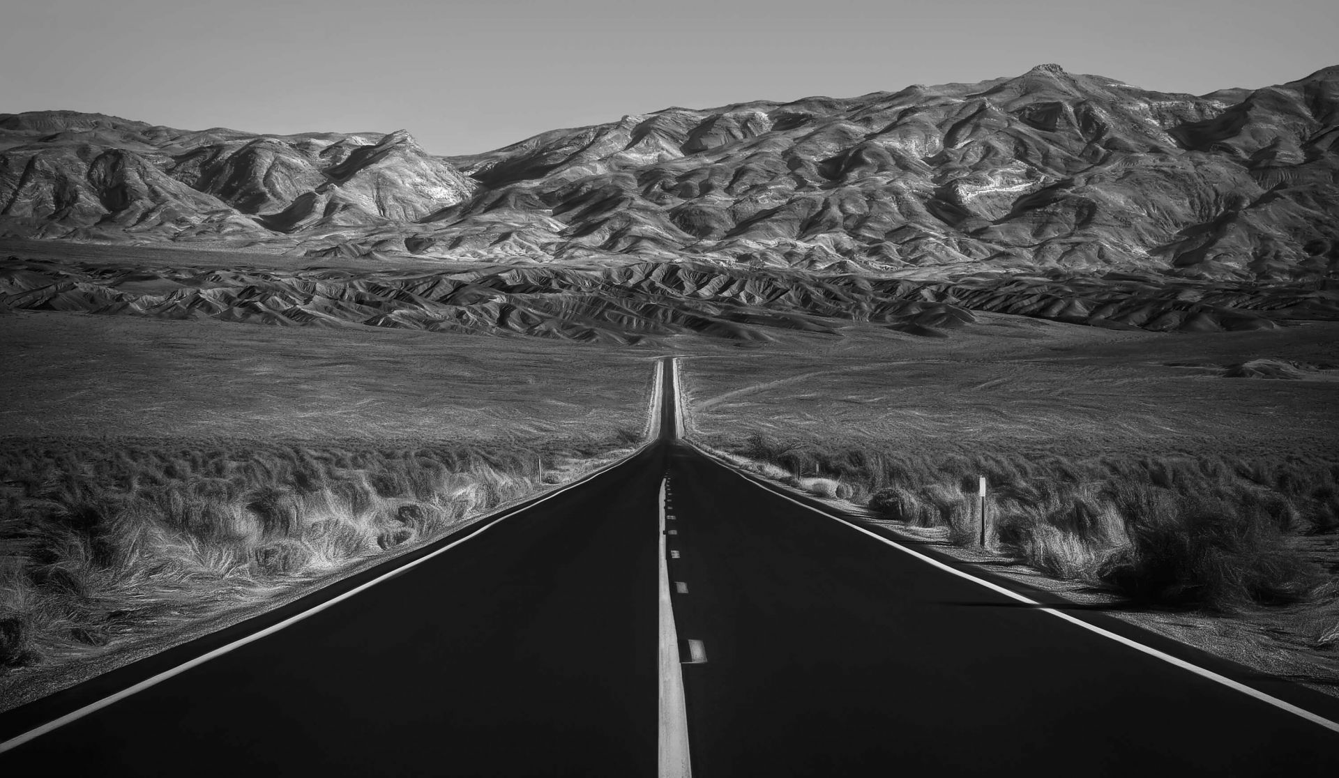 Ruta Ruta