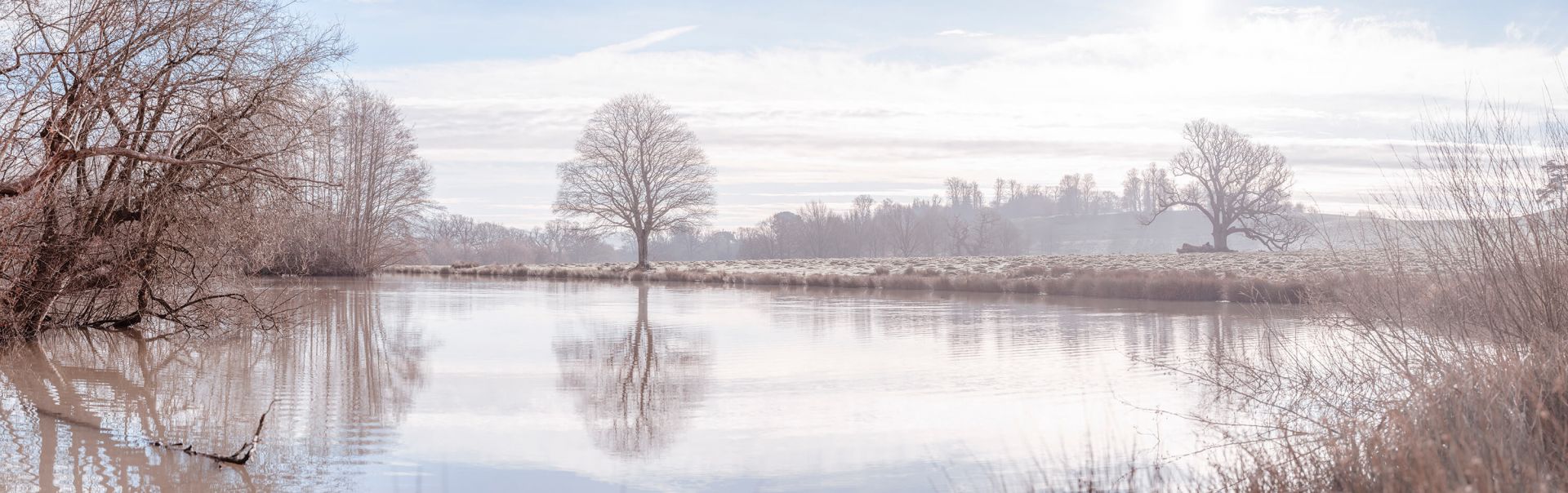 Abandoned winter landscape Abandoned winter landscape