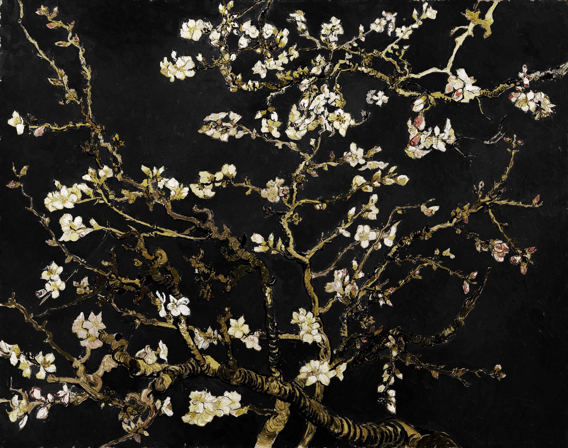 Dark Almond Blossom