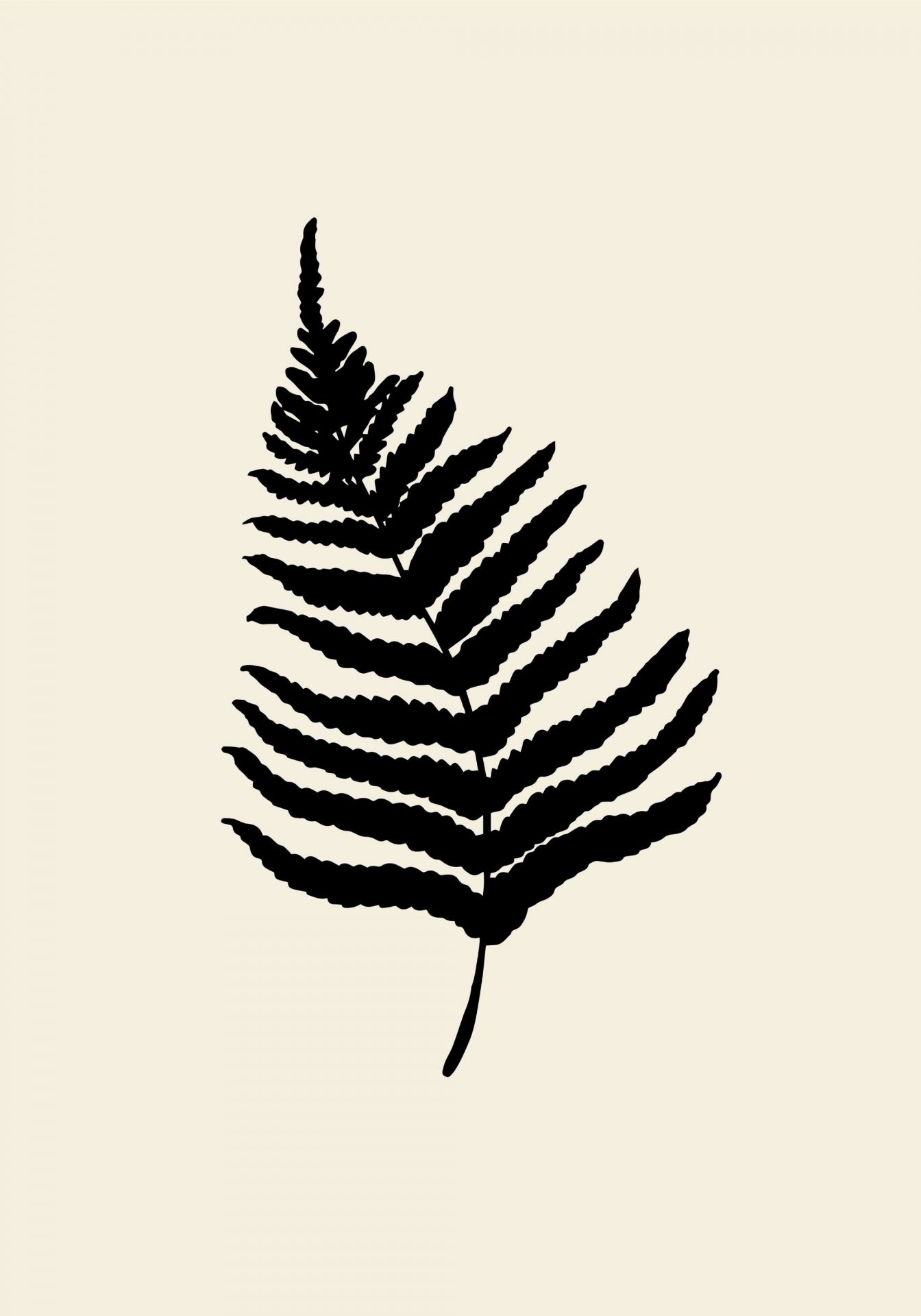 Fern