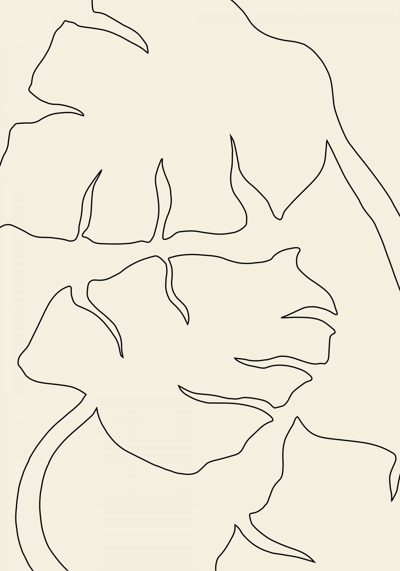 Monstera Outline