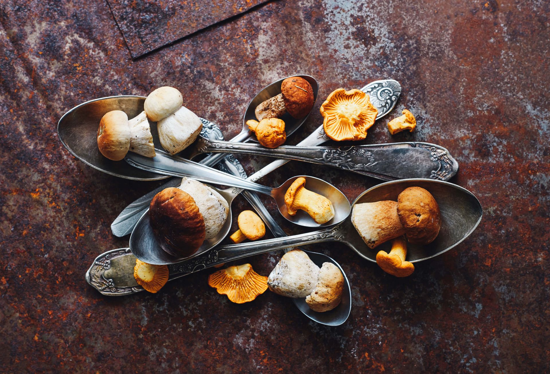 Spoons Wild mushrooms